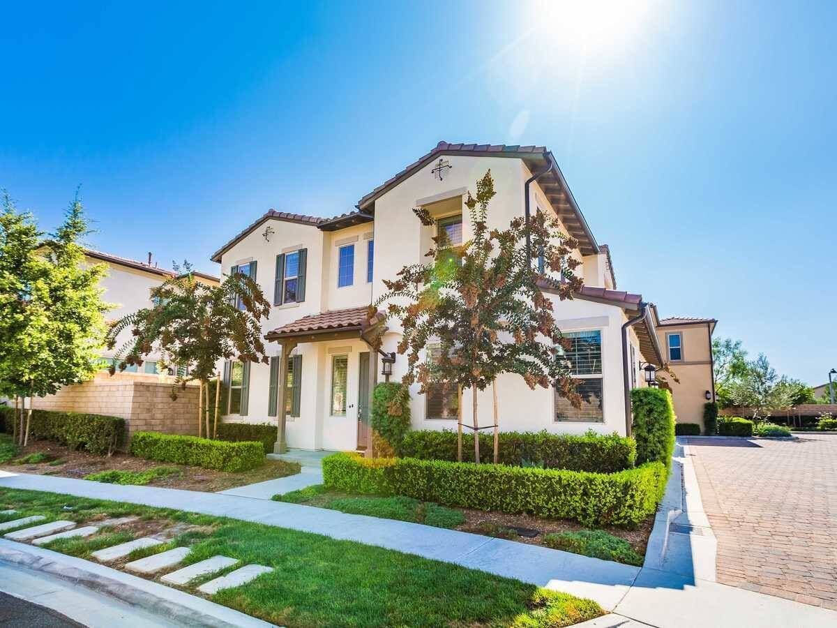 Forest Vista on Lavender