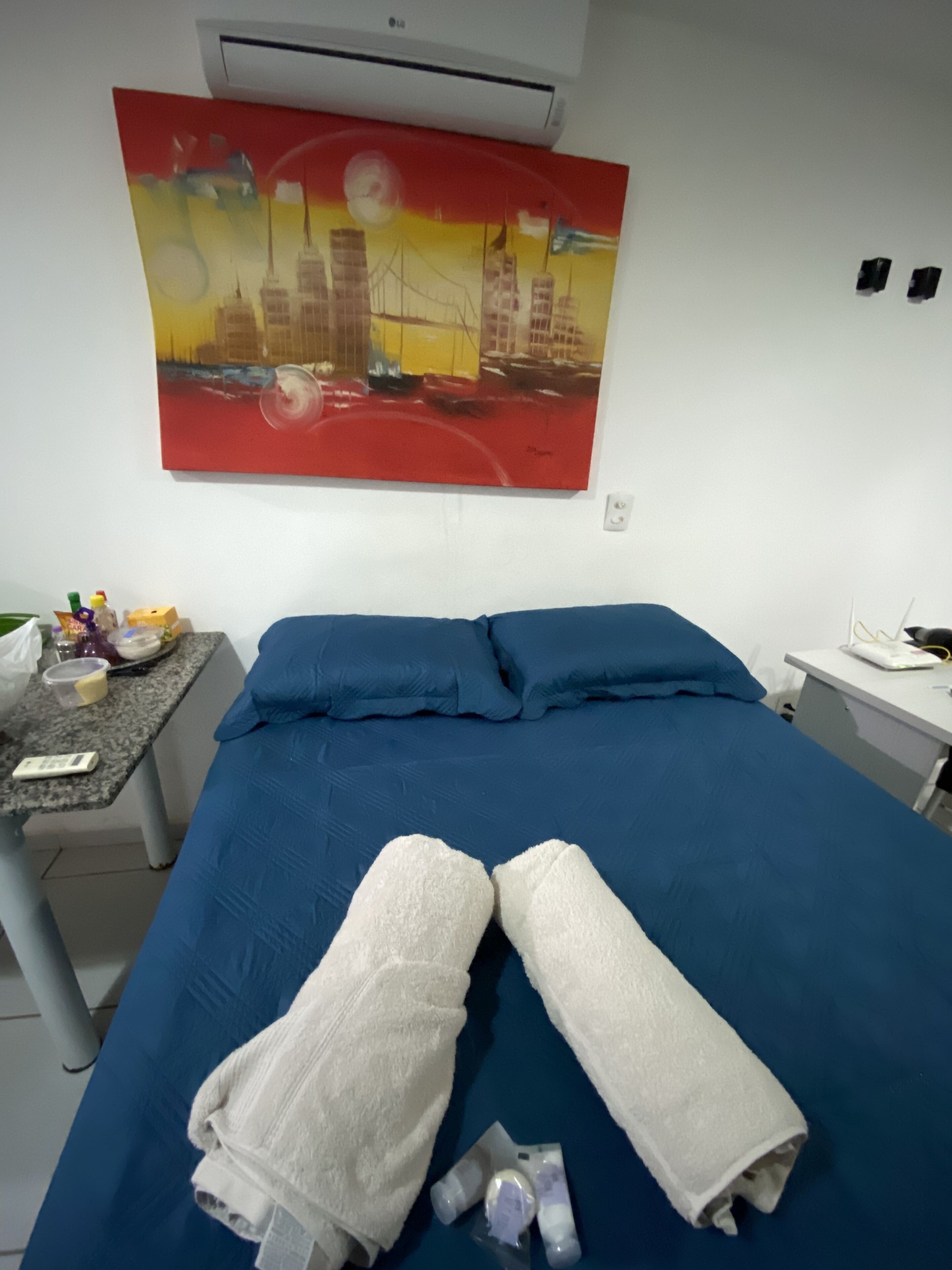 Entire flat with pool and gym included.
