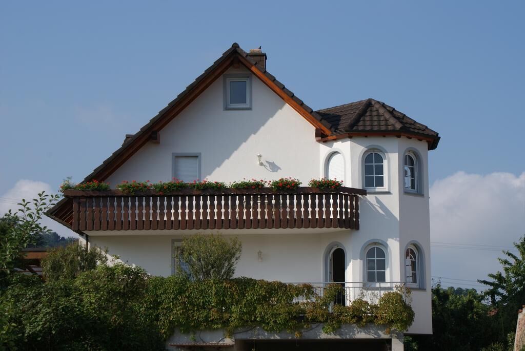 Apartment with terrace and view of the vineyards
