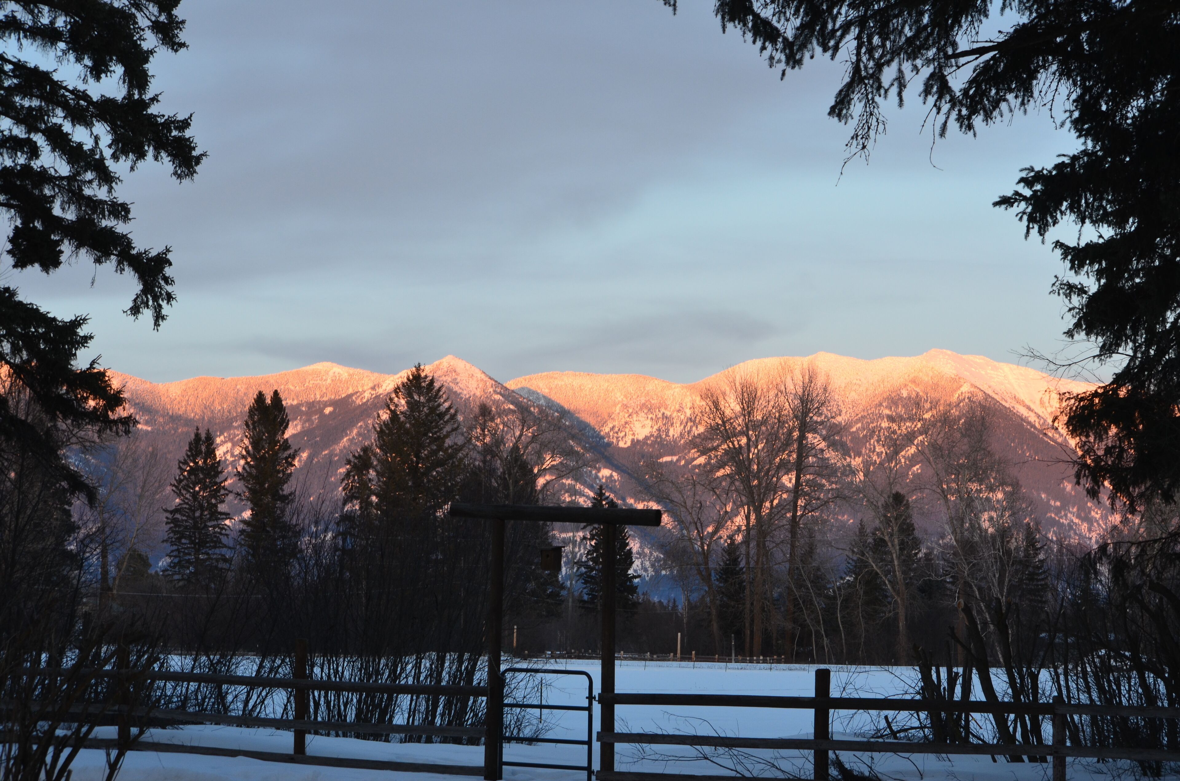 Swan Mntn View-Entire Place! Private Basement Suite, Close to Whitefish Skiing.