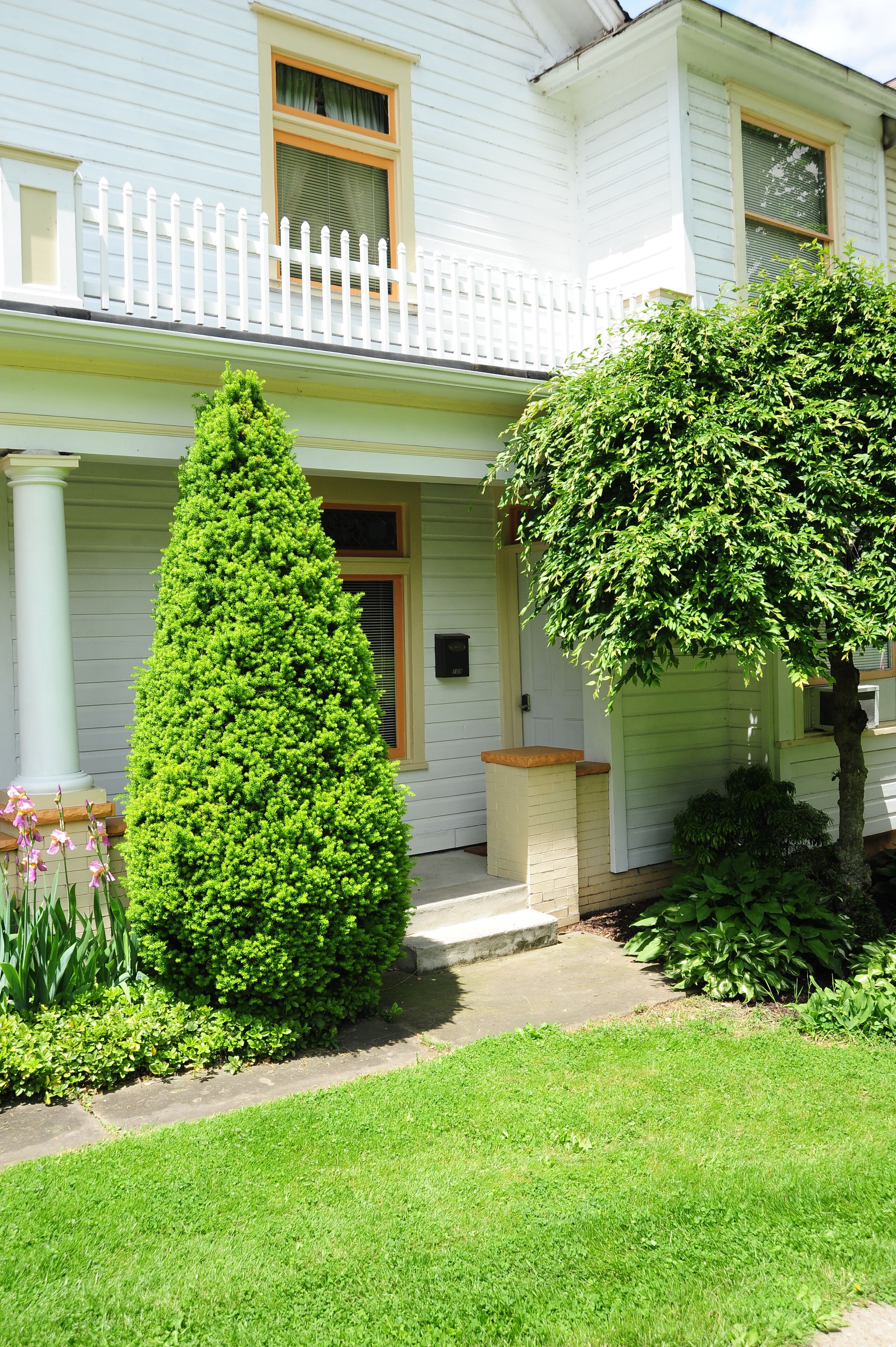 Apartment on the Park
