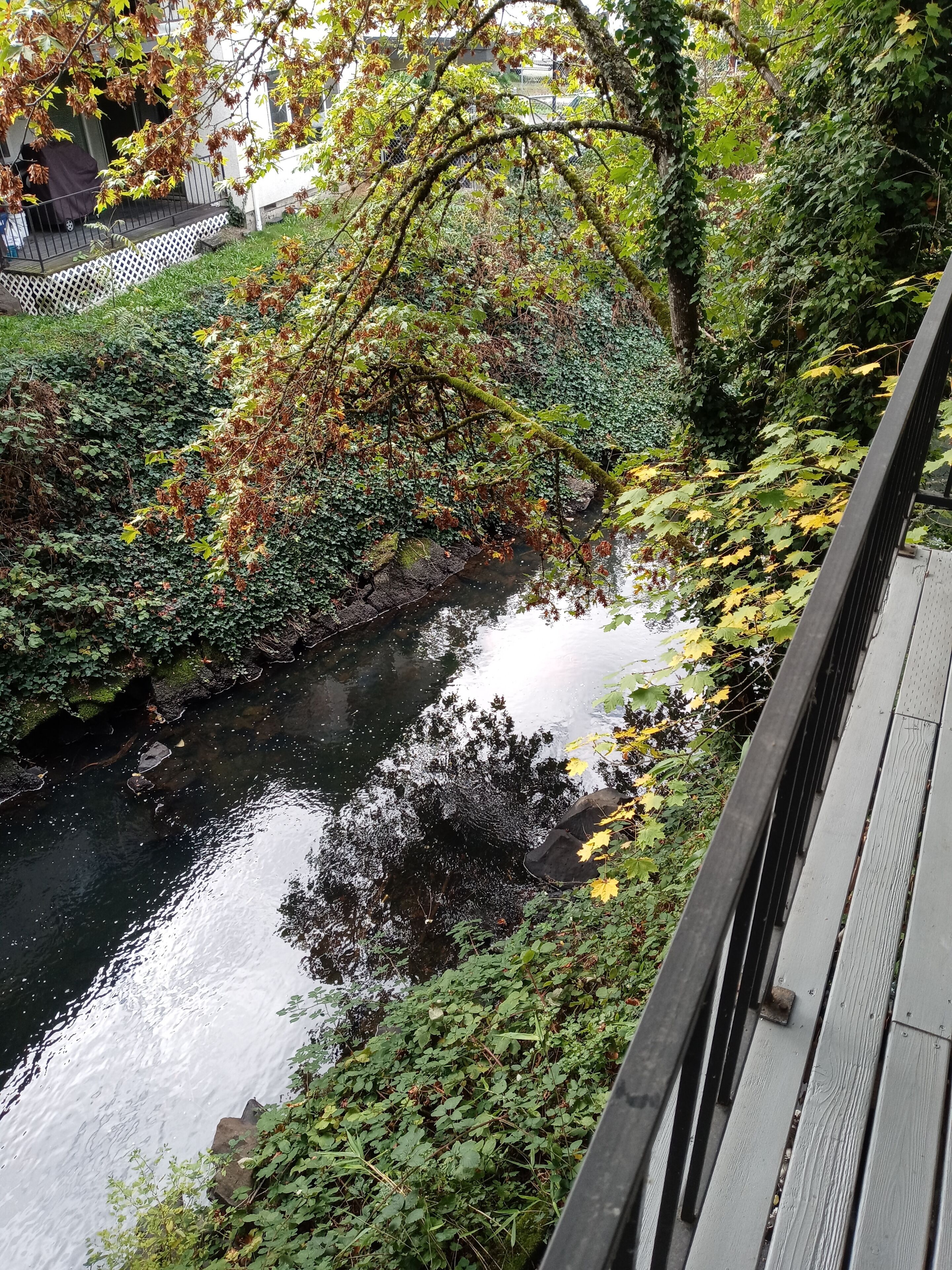 Upstairs 2 Bed 1 Bath Condo with Creek View!
