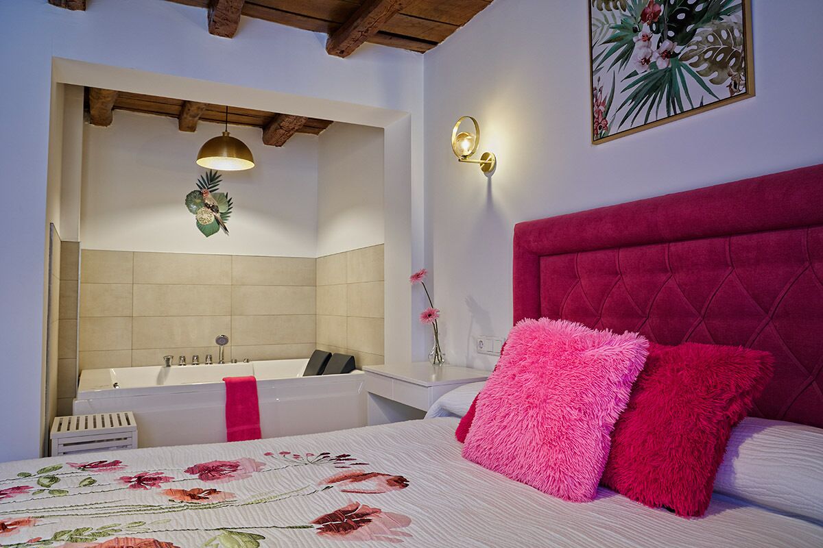APARTAMENTO 2 PERSONAS CON JACUZZI EN PEÑAFIEL