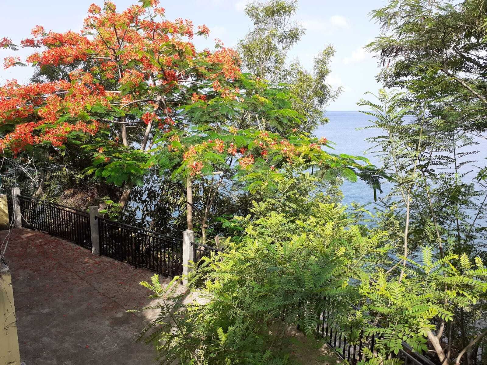 Charming F2 20 meters from the seaside for 3 people or 2 adults and 2 children.