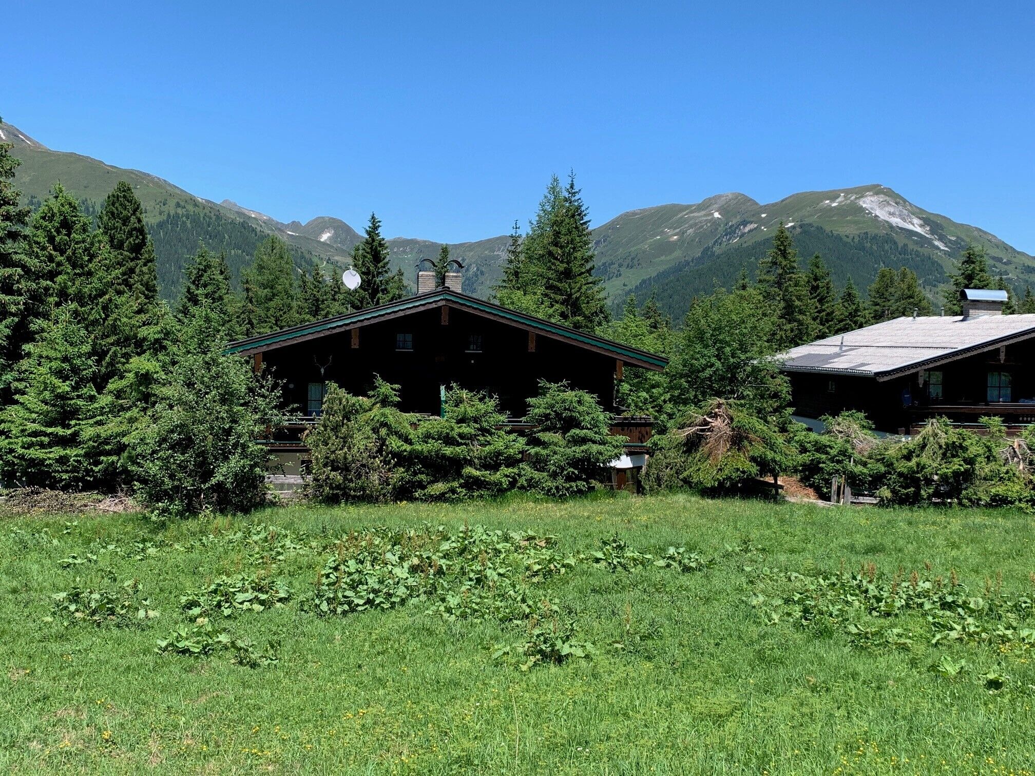 Cozy holiday apartment on the Alm