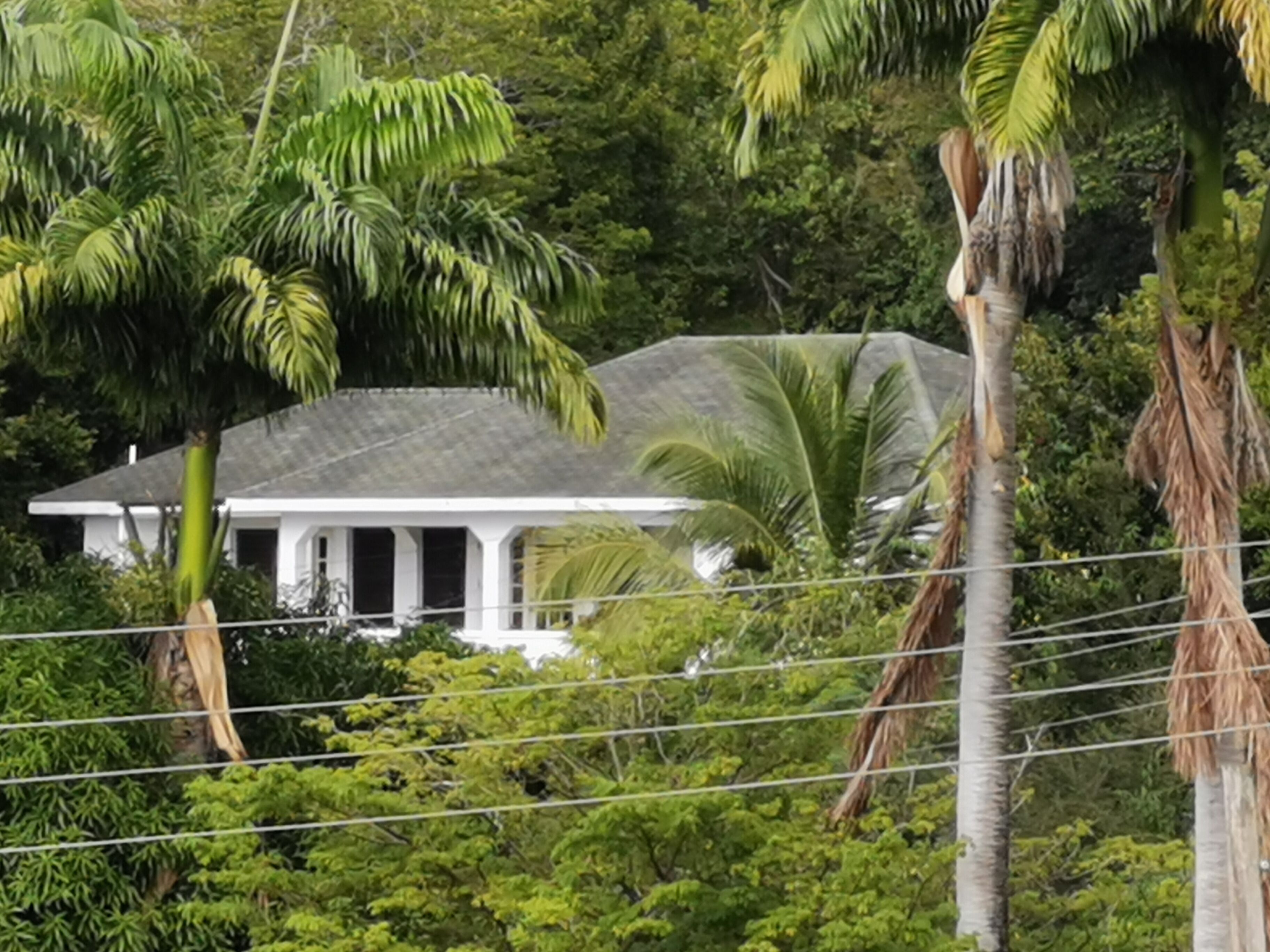 Lucy's Sunshine Villa Palm Loop, Spacious 3 Bed 2 Bathroom,