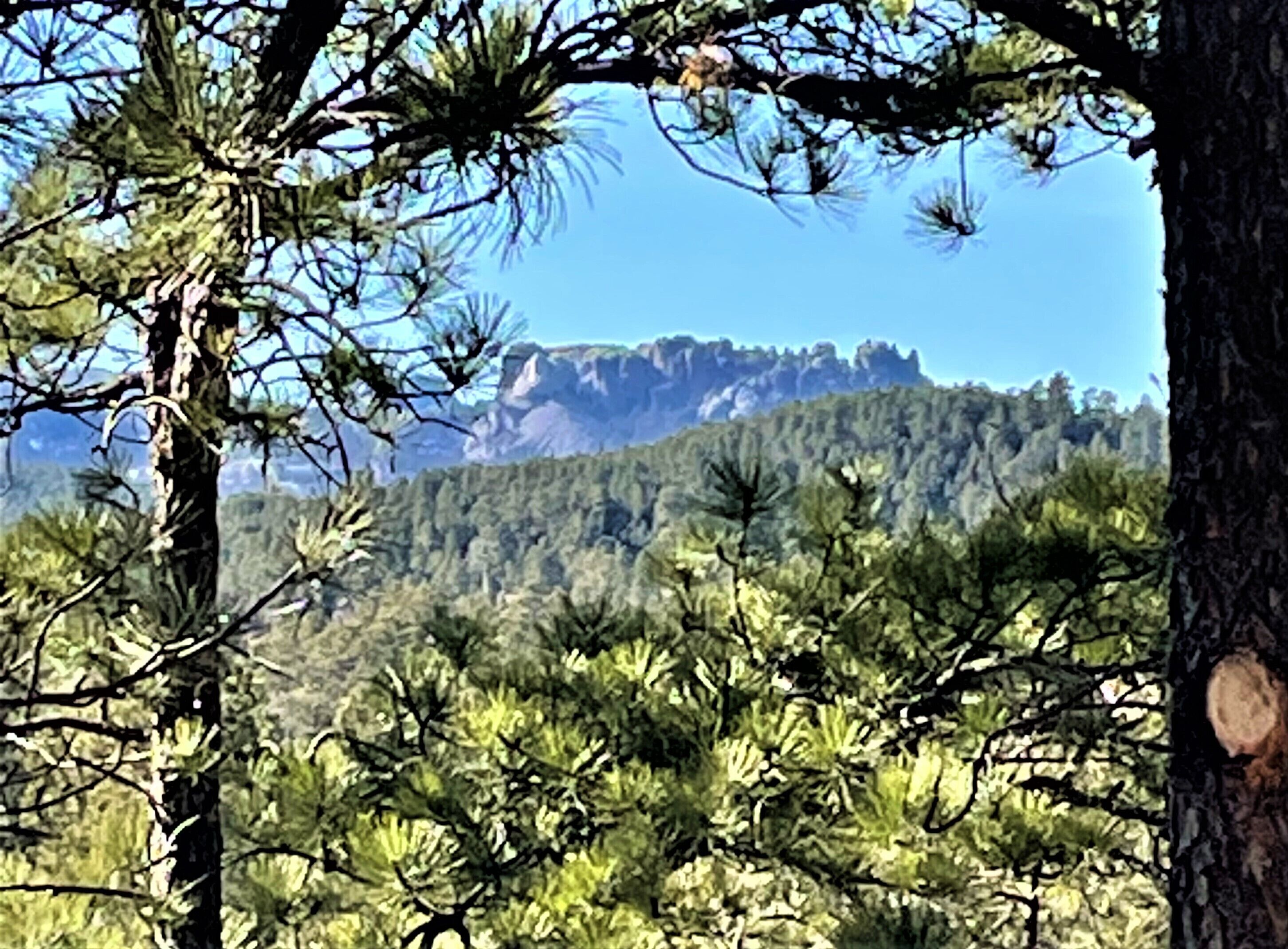 Mount Rushmore, Black Hills