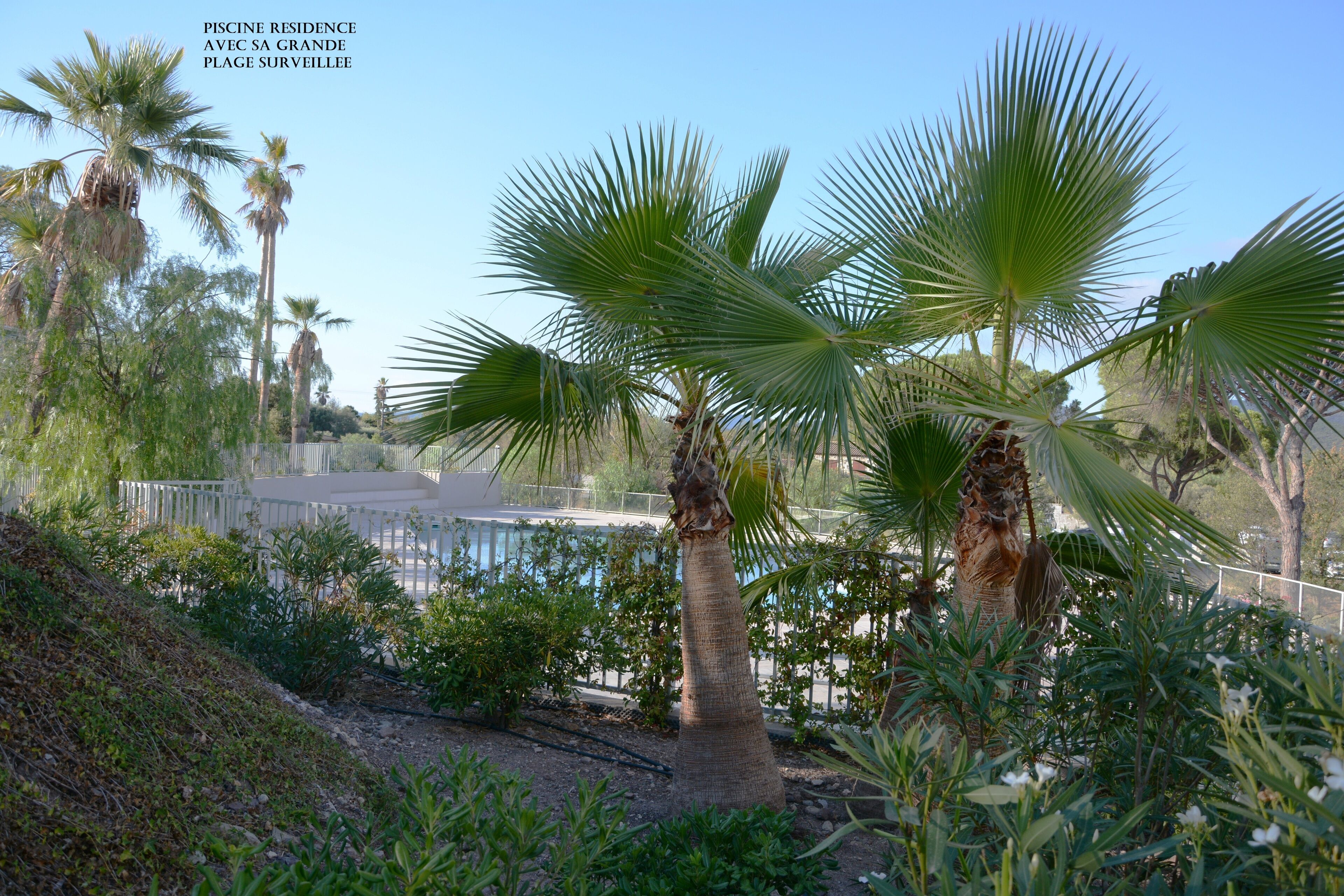 COTE D'AZUR NEW AND SECURE F3 APARTMENT 10 KM FROM THE SEA - QUIET - SWIMMING POOL 