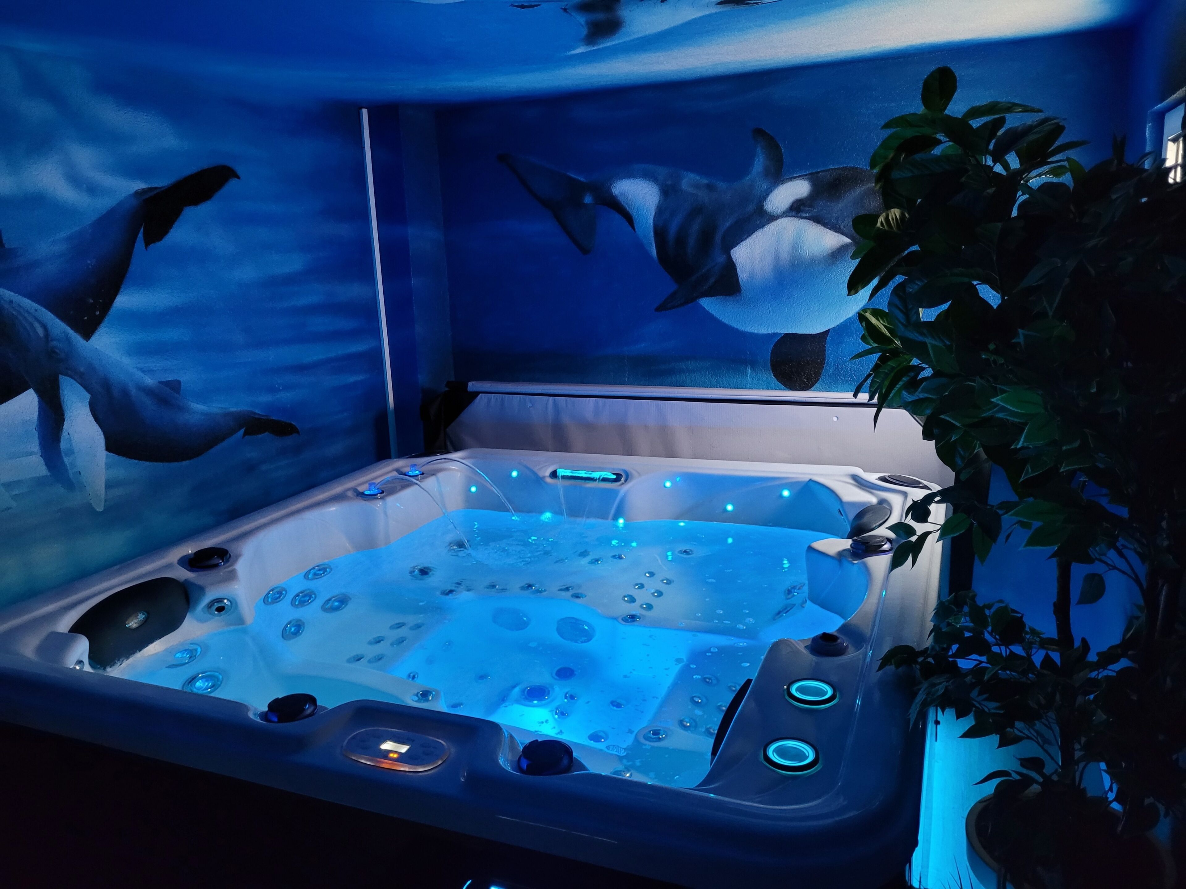 Effet Mer - Gîte 80m2 with private Jacuzzi