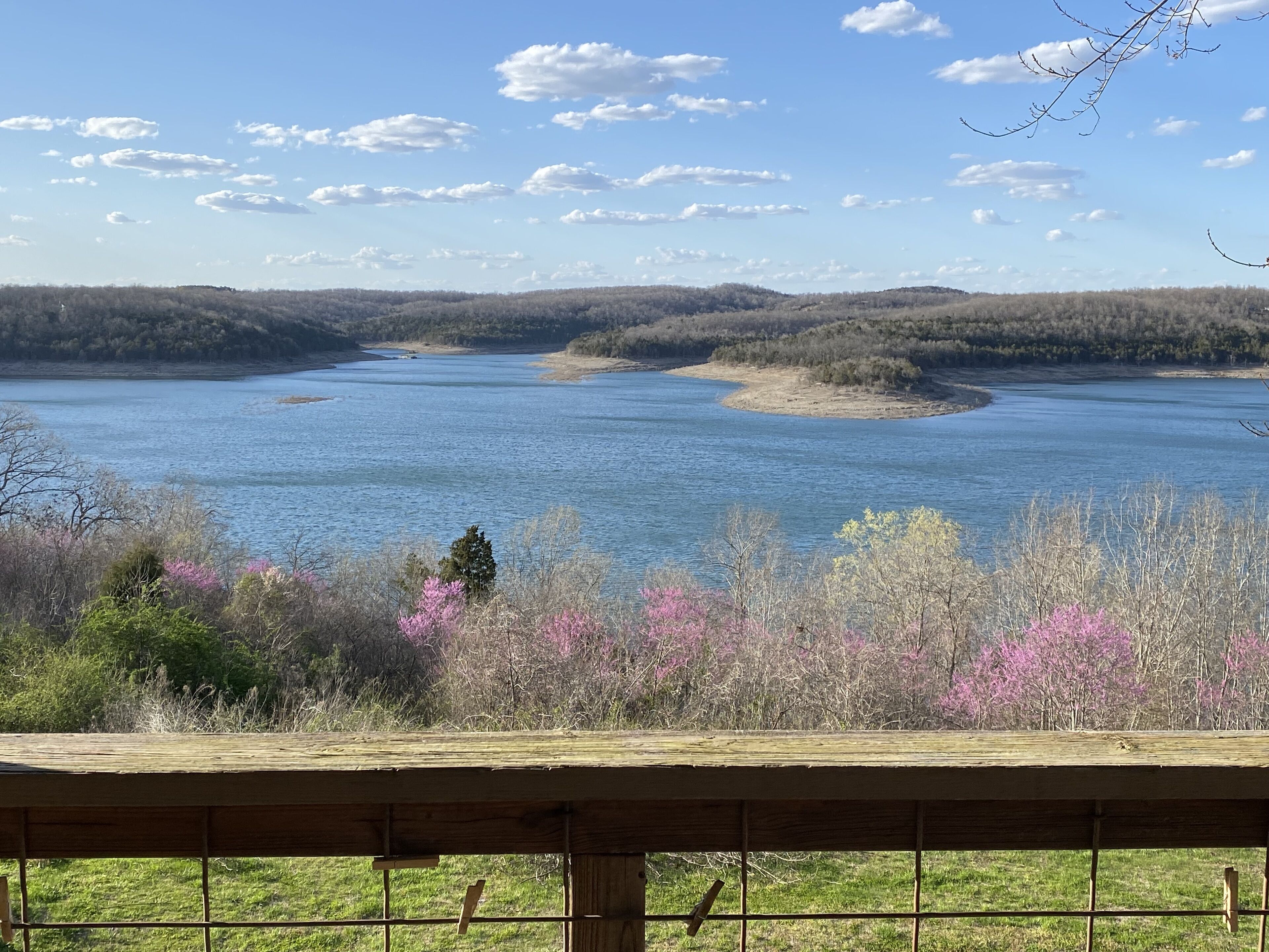 Comfortable Studio on beautiful Bull Shoals Lake- #8
