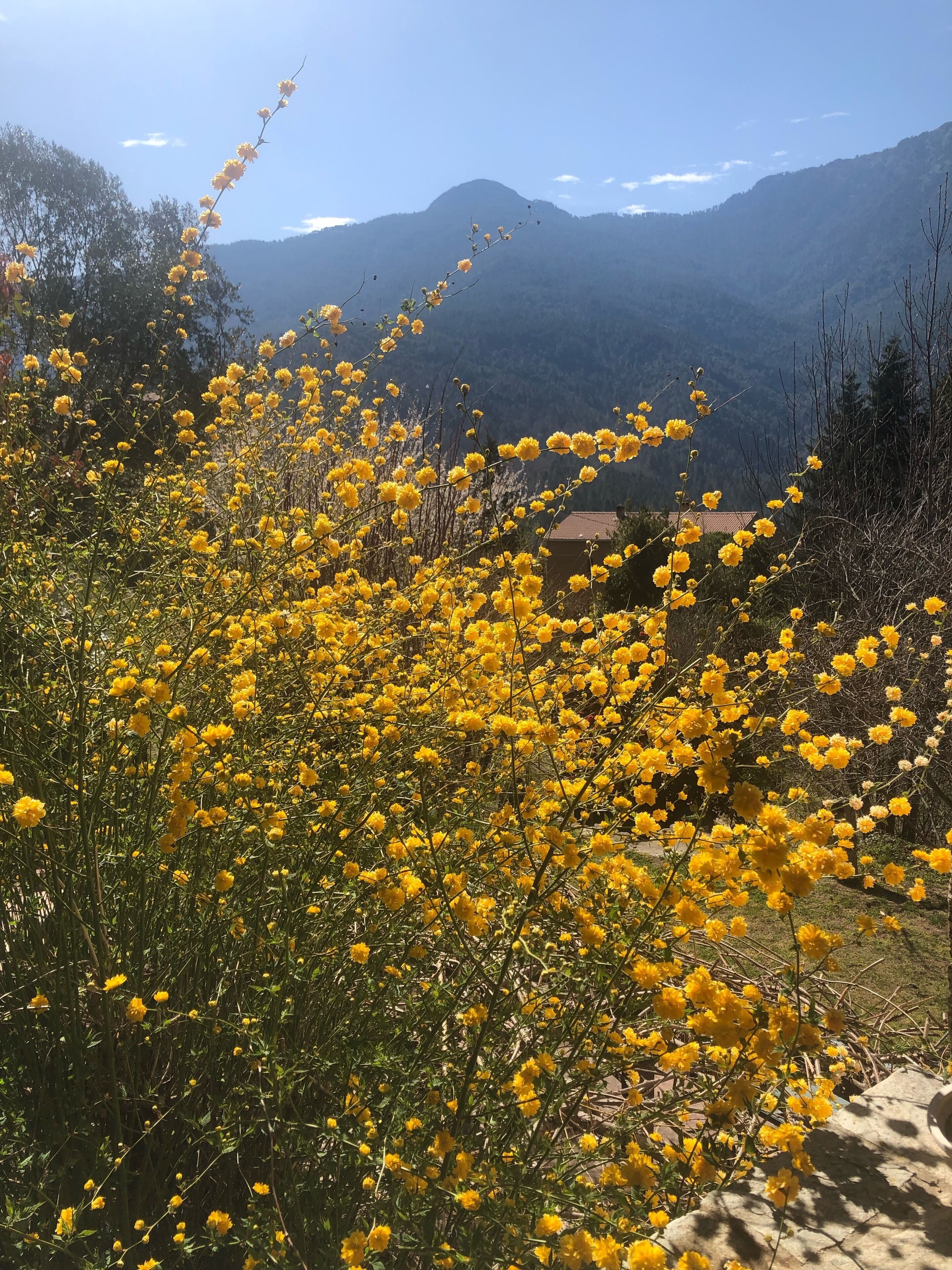 In the mountains and near the sea, apartment on the ground floor