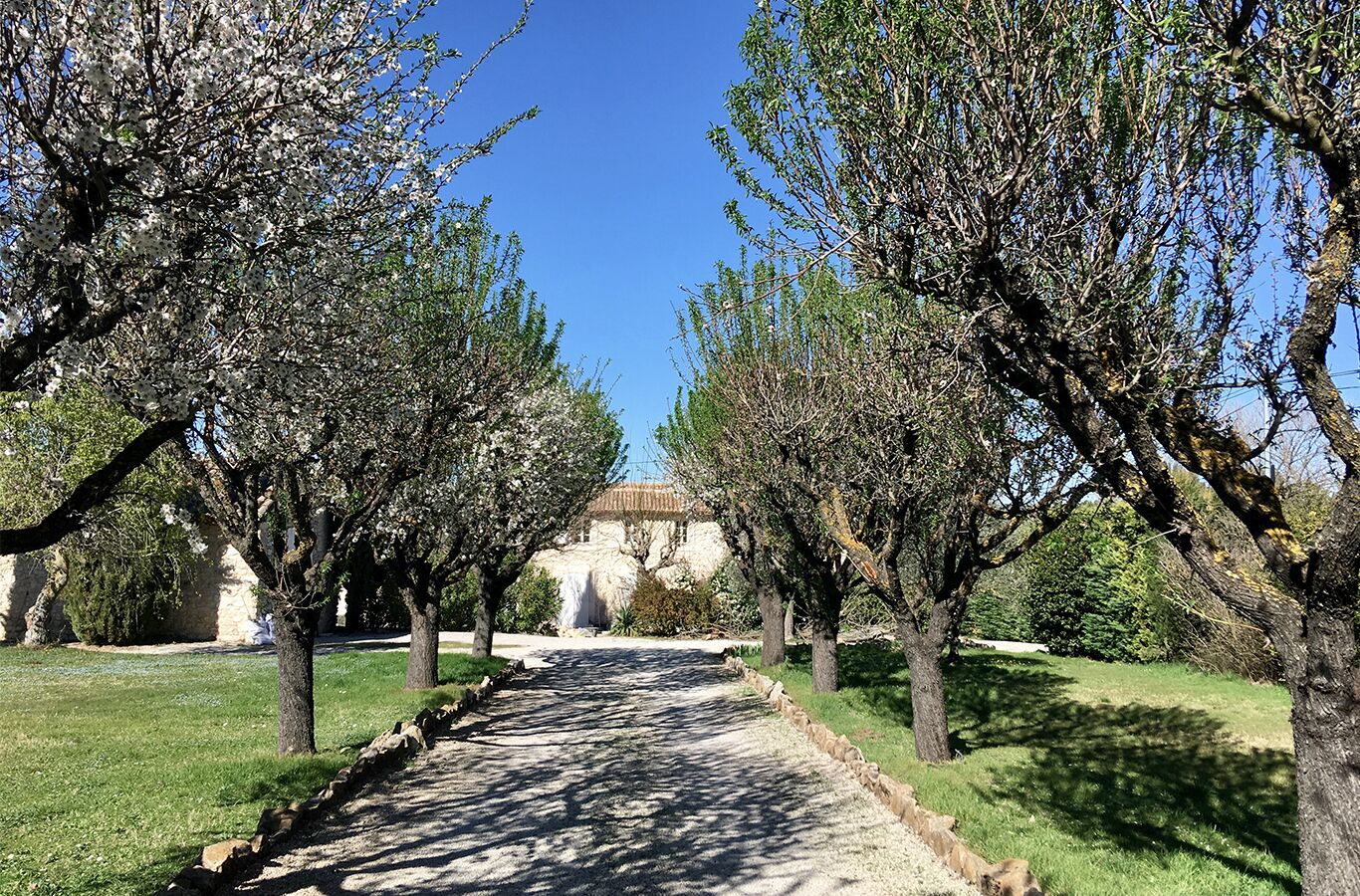 Charming studio in a 19th century Provencal farmhouse with swimming pool