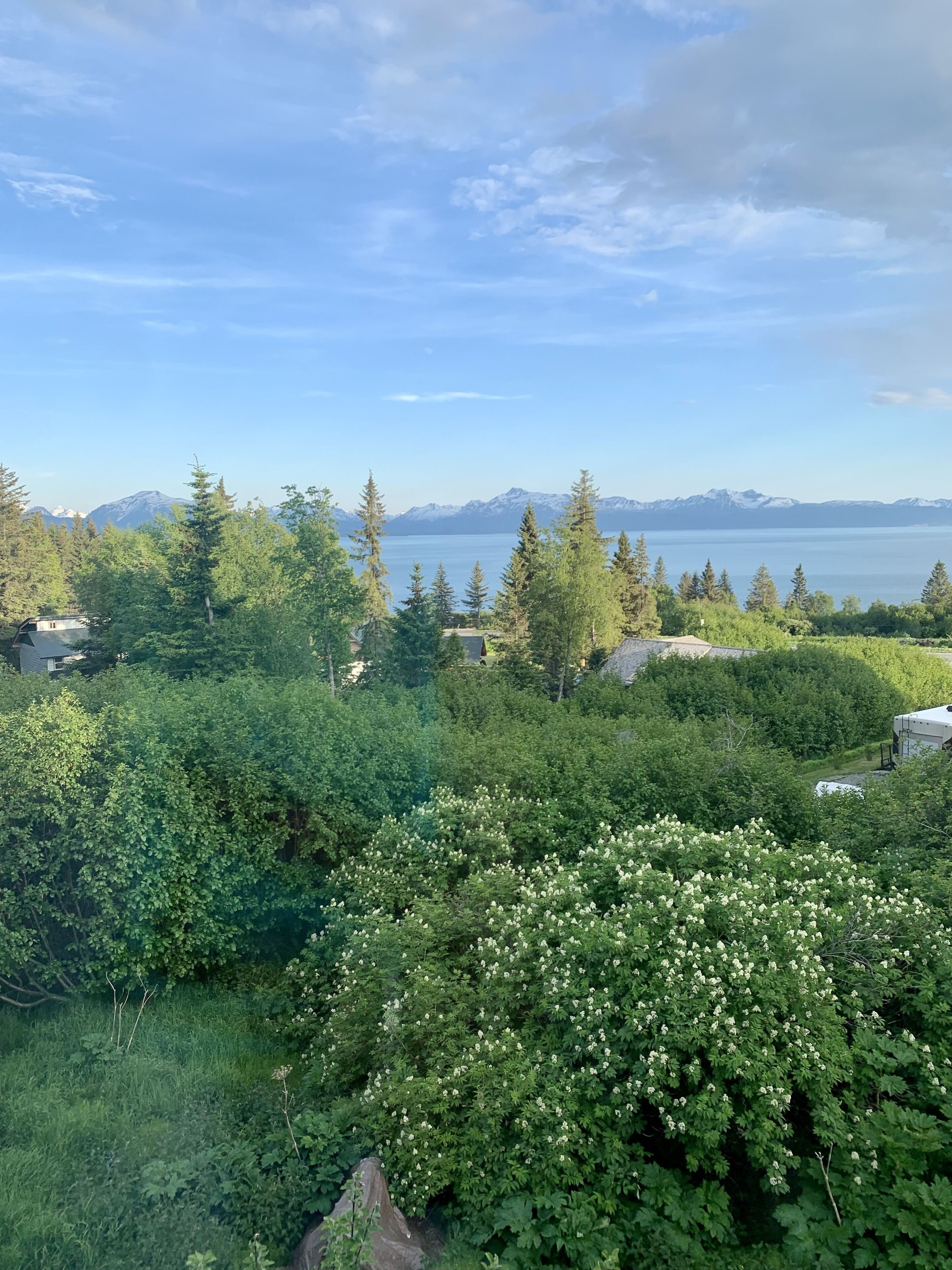 An Alaskan Home Away From Home - in Homer, Alaska