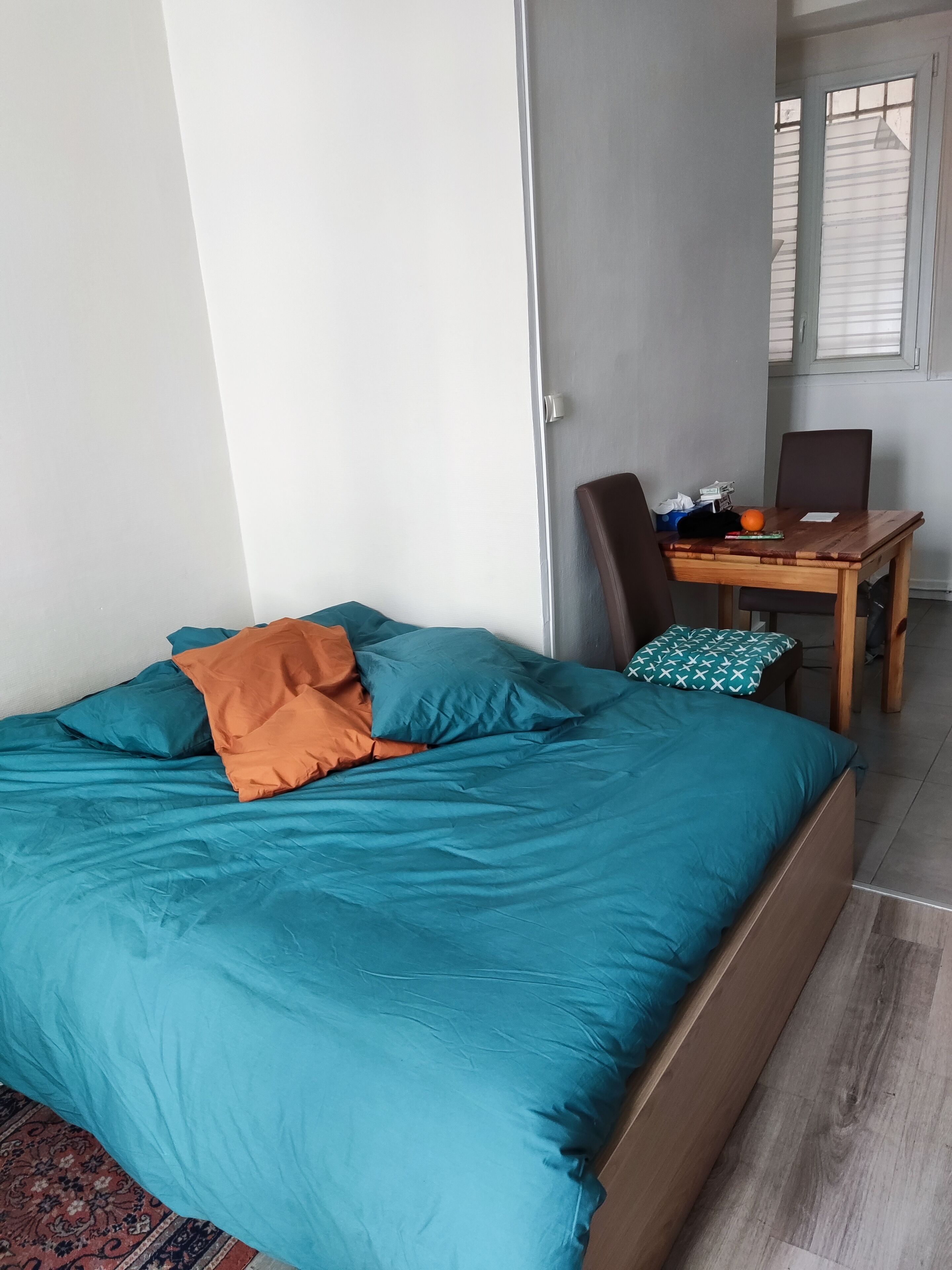 Appartement Lumineux en RDC