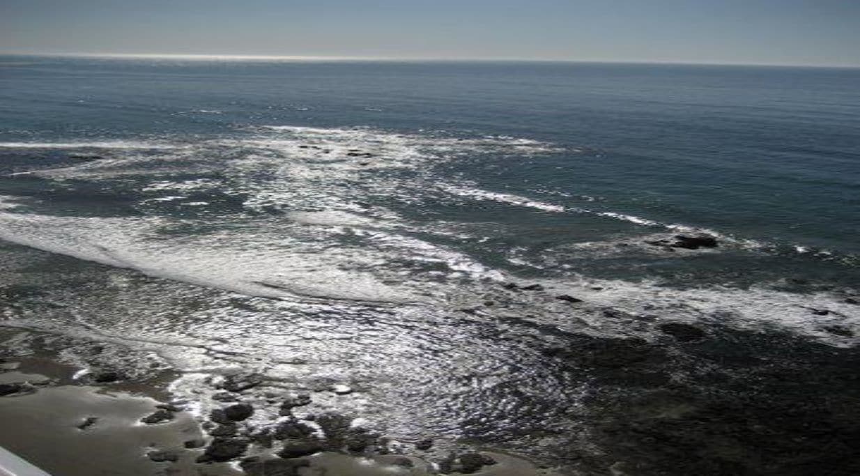 Luxurious 2 Bedroom 2 Bath Oceanfront Condo