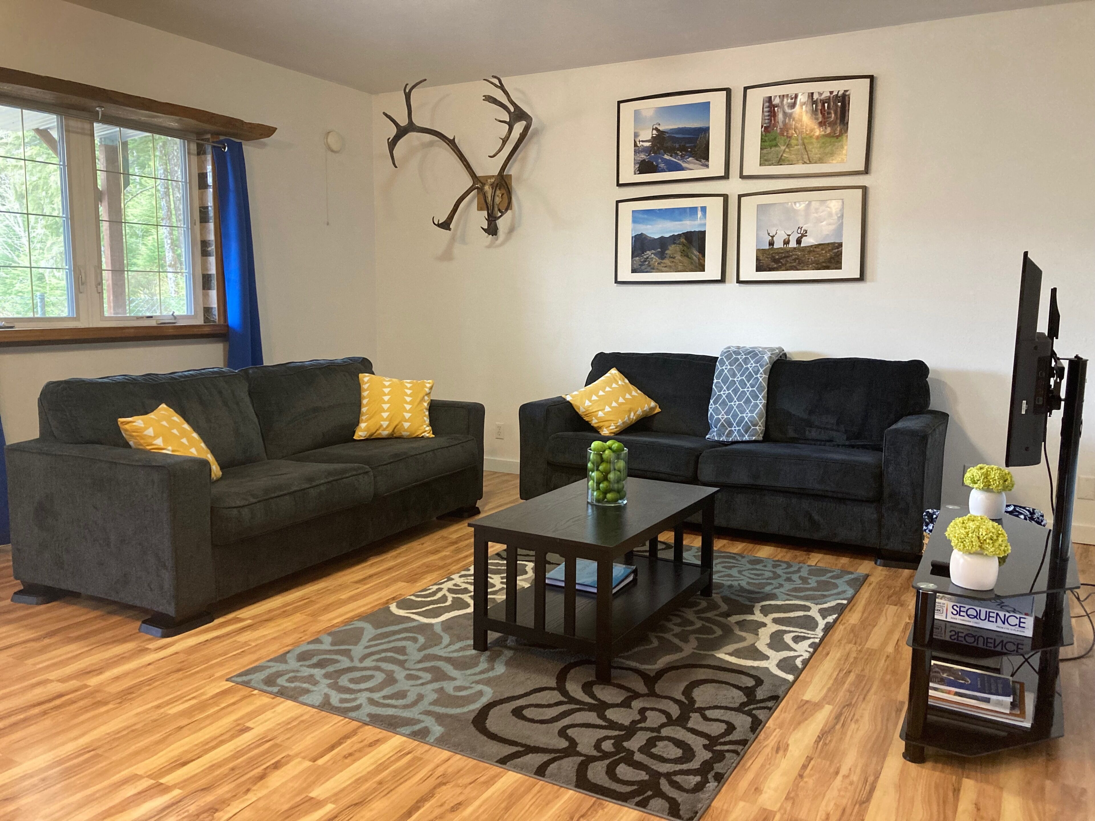 Spacious 1 Bedroom Apartment