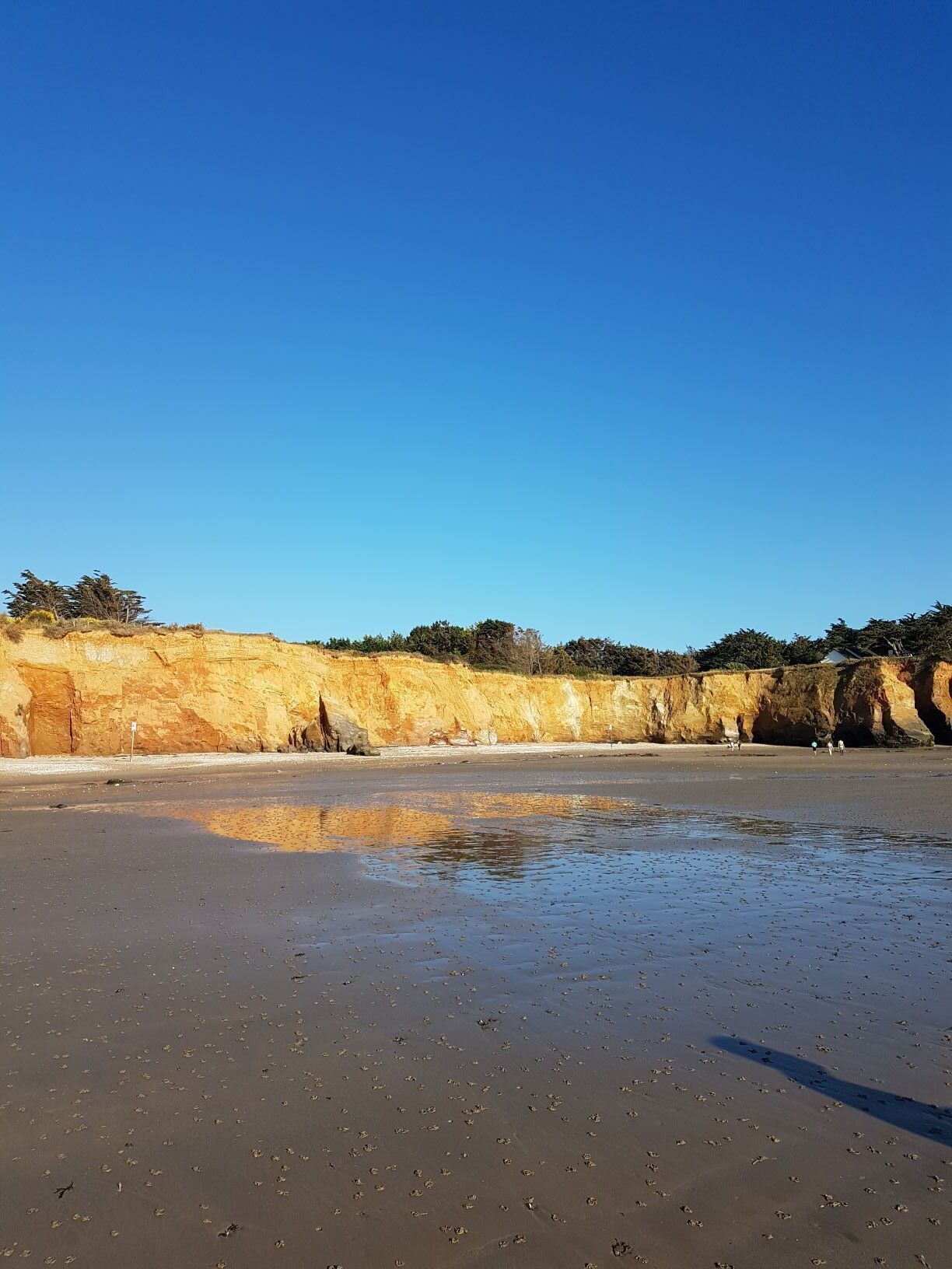 Large apartment in a house