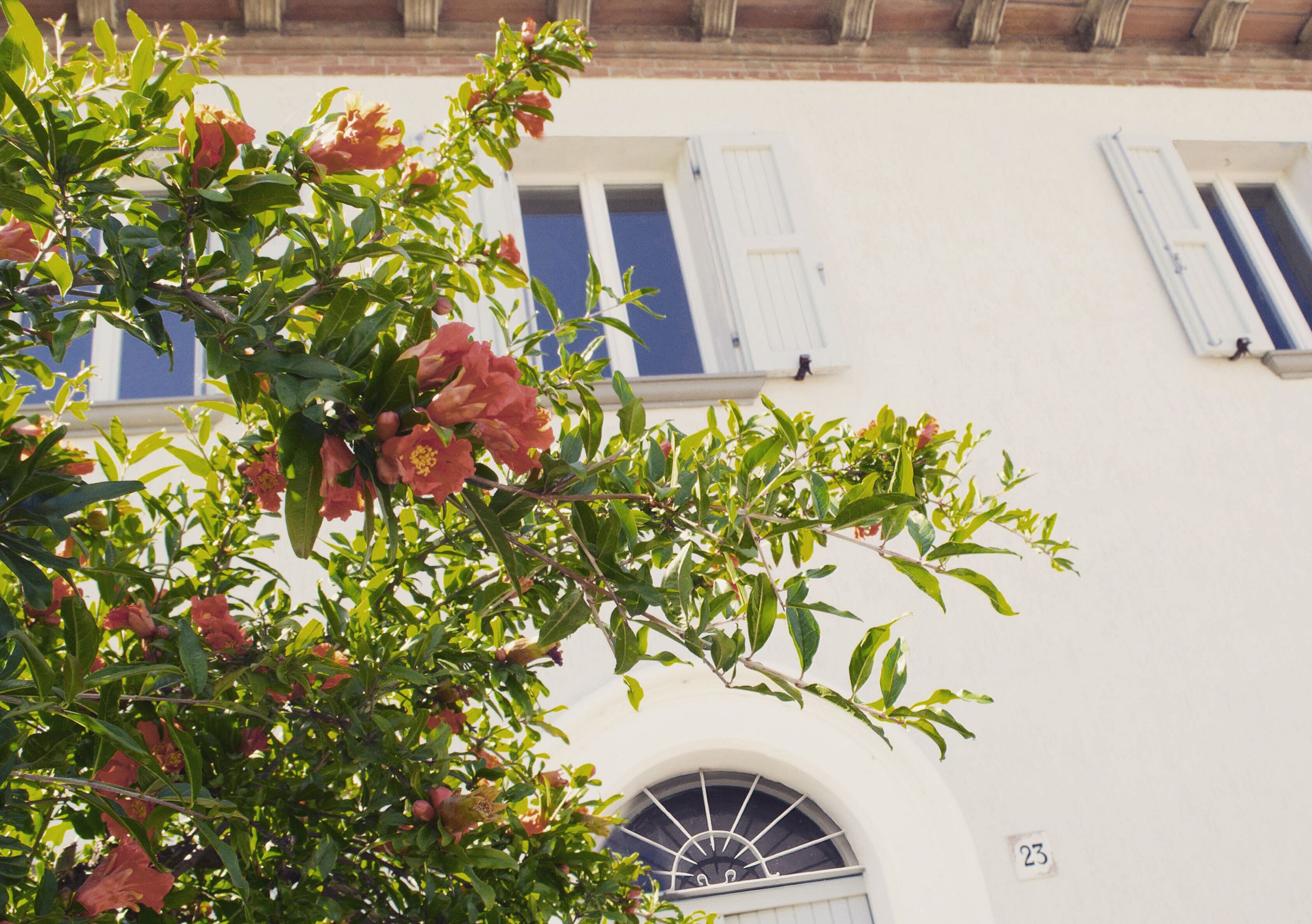 The House of Montegiardino