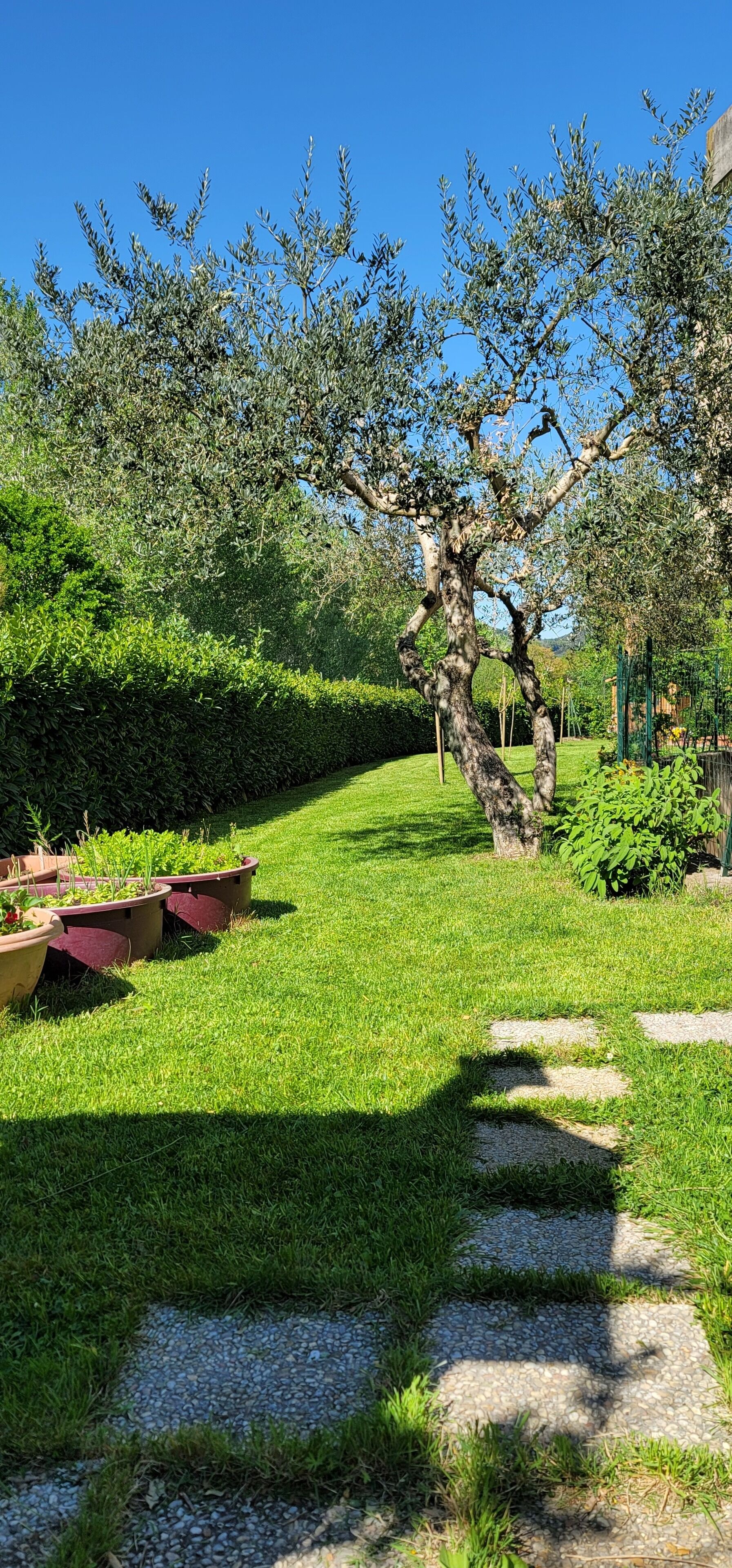 Camera privata, palestra - percorso verde e ceramica