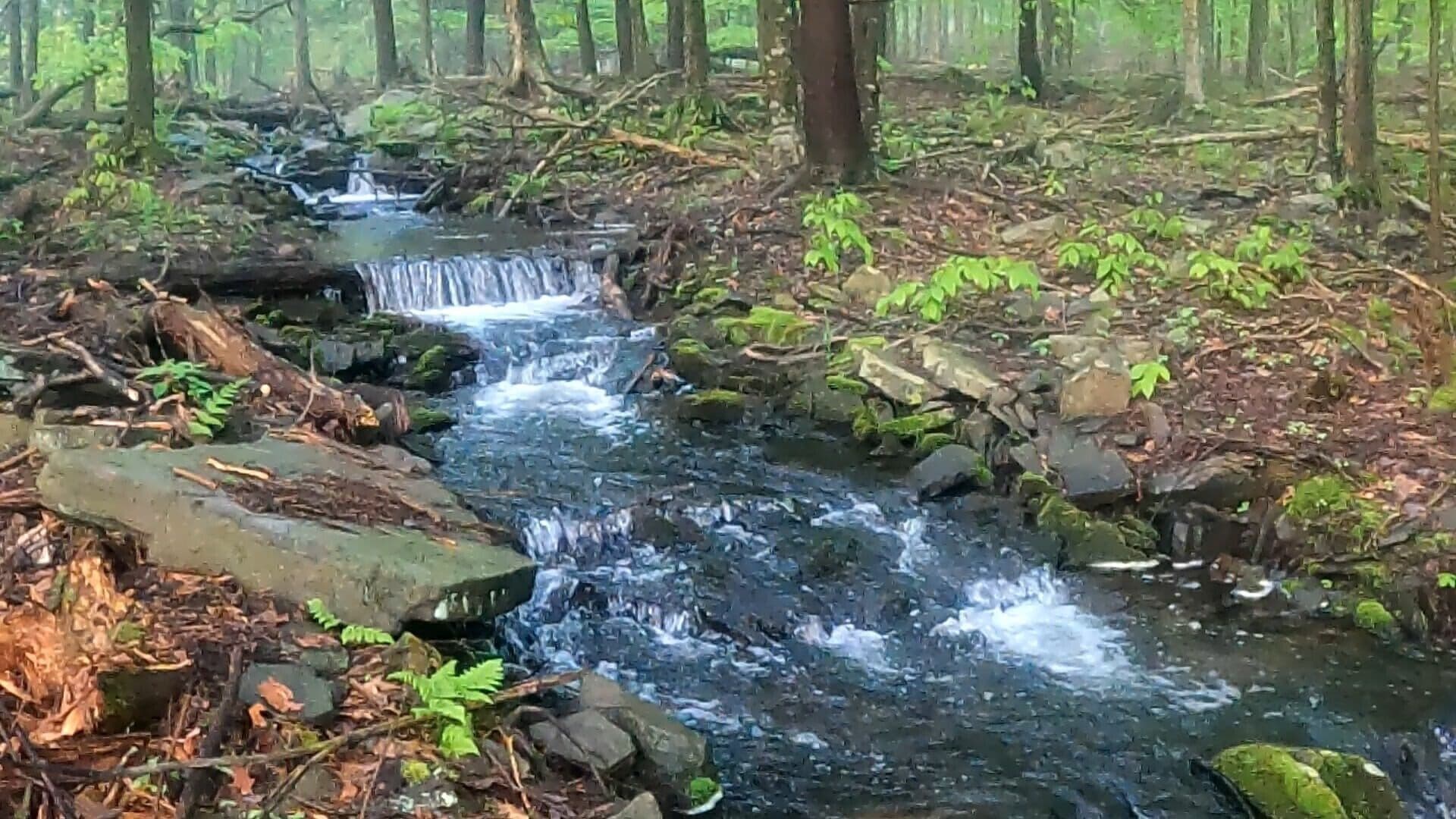 Romantic Gateaway, creek side, fireplace close to lake, pet friendly 