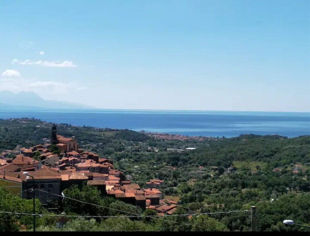 Comfortable apartment with terrace and small garden