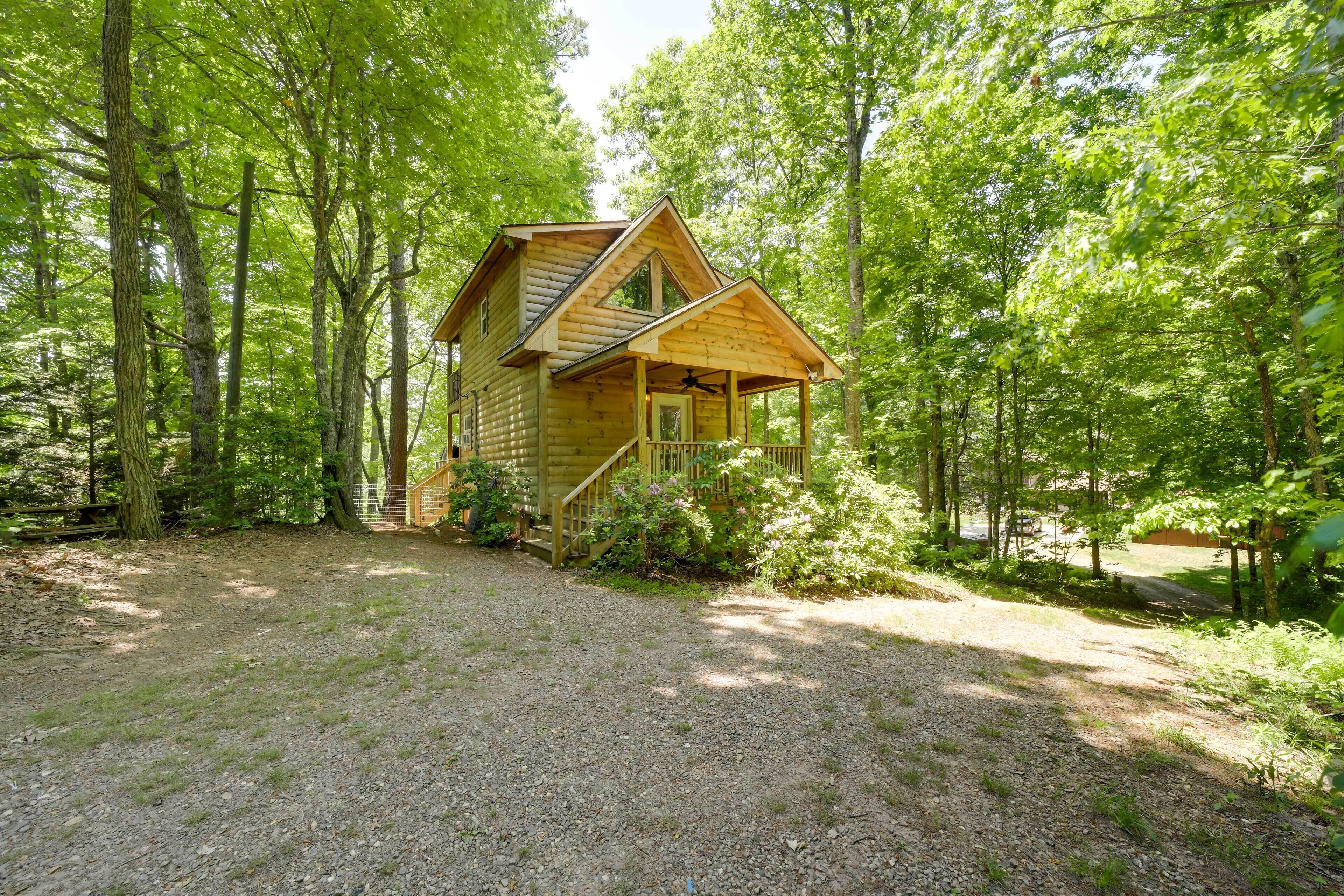 Cozy Whittier Cabin + Yard & Hot Tub, Pets Welcome