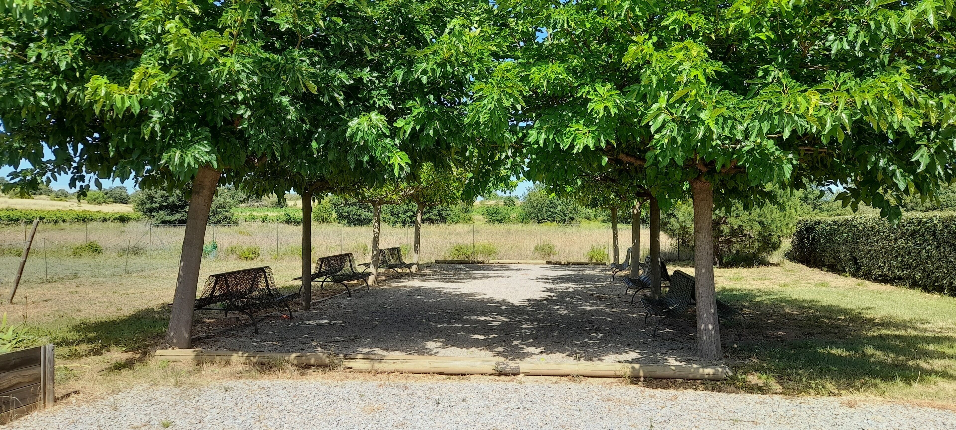 Apartment on the ground floor in a guest house with swimming pool
