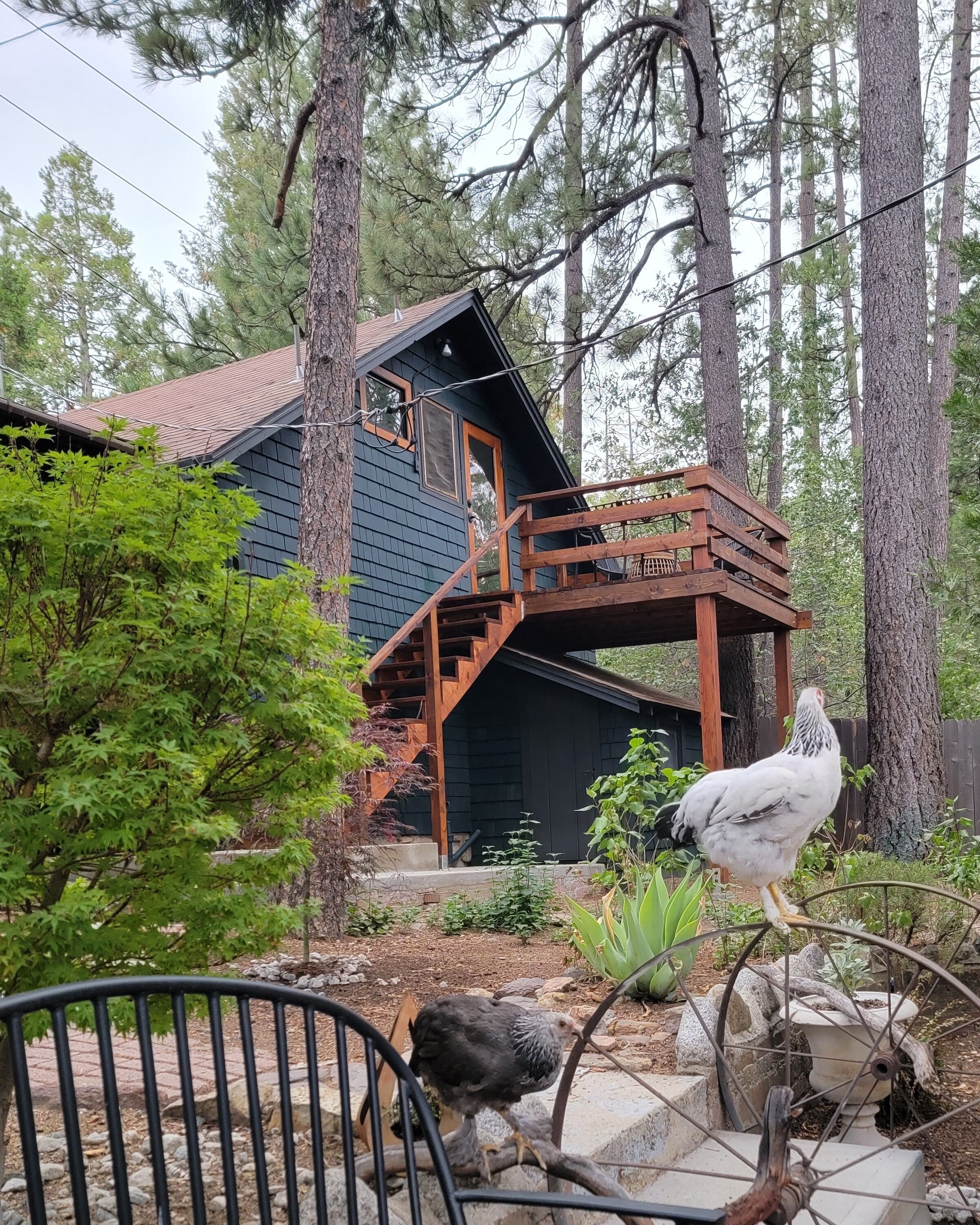 Casita Ranchita Mountain Loft in Town
