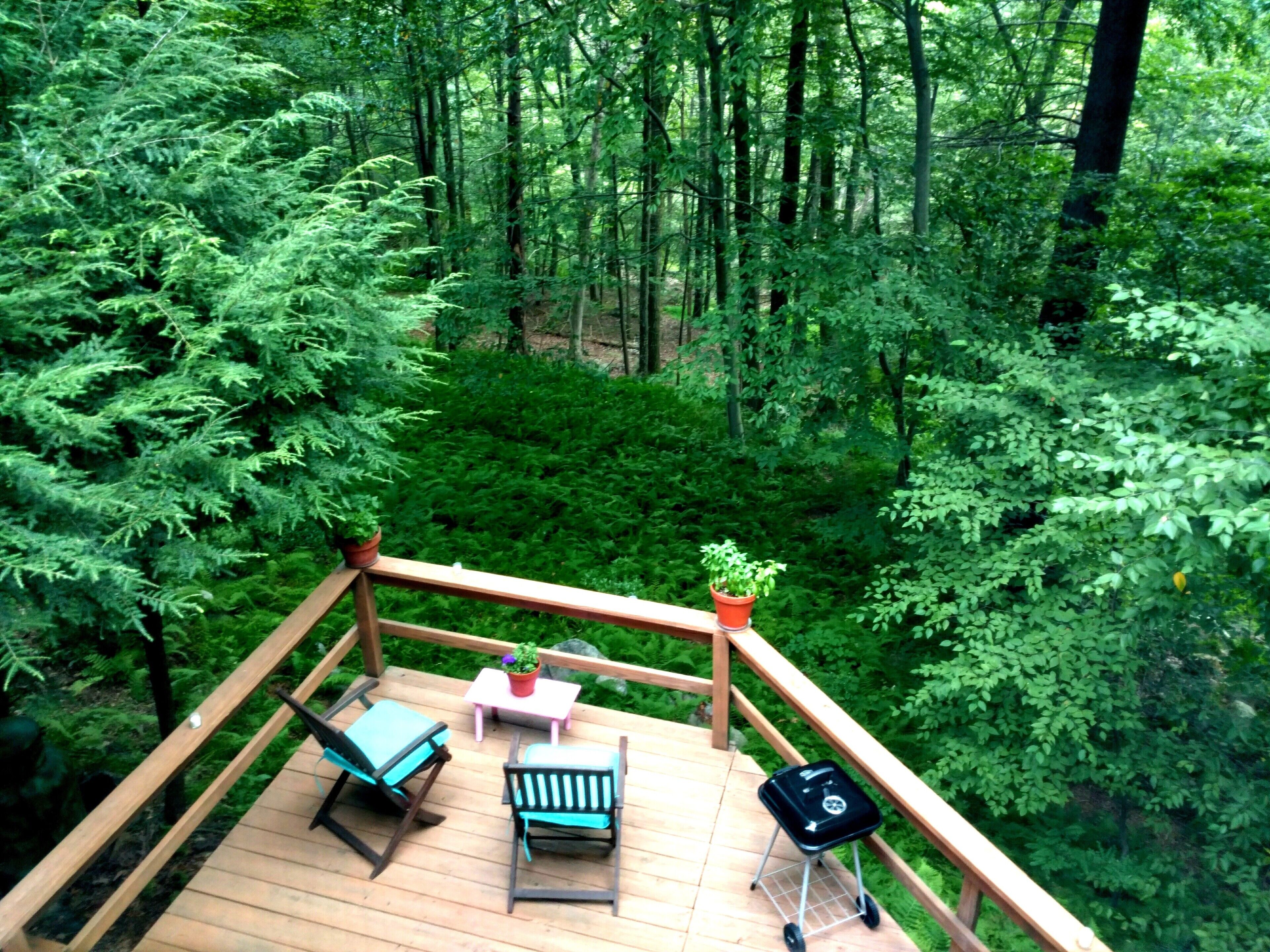 Nature Lovers' Sanctuary Yet Close to Amenities