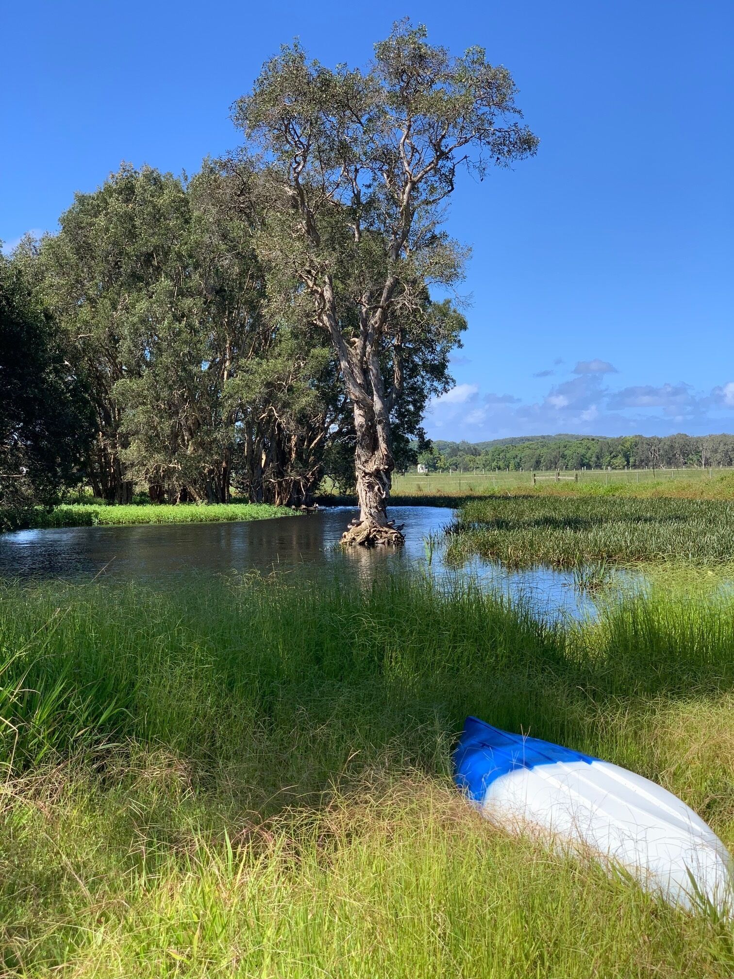Duck Heaven in Bellingen Shire