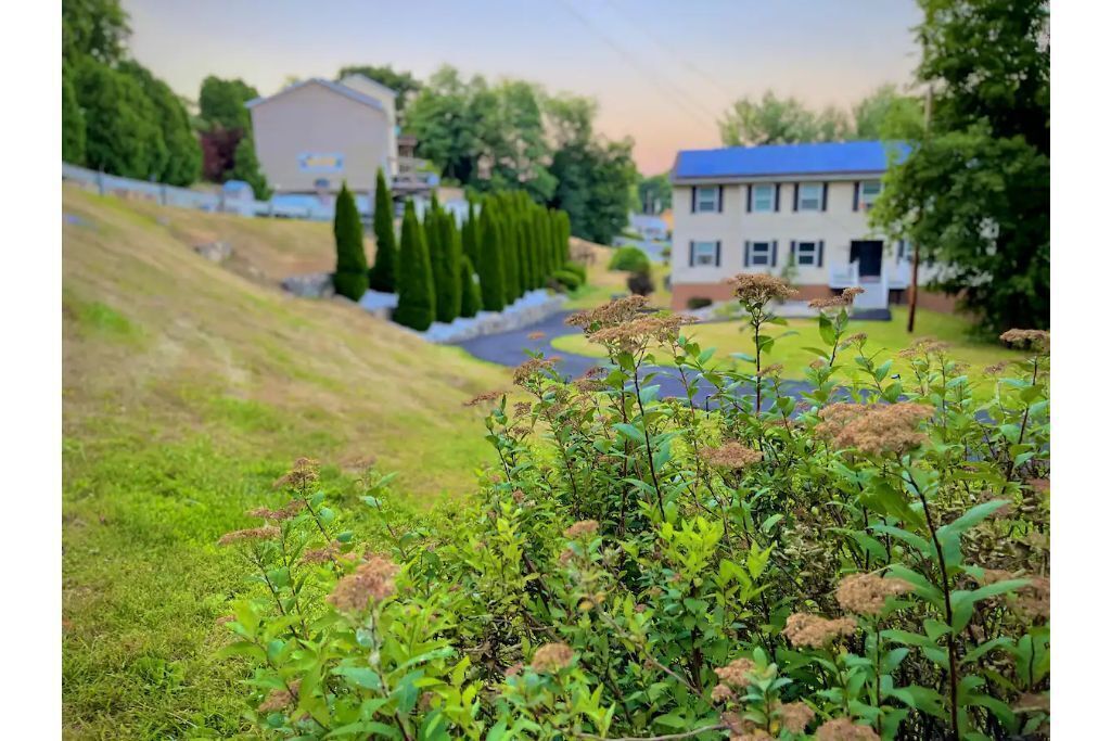 Spa themed suite w/private entrance, and king bed!