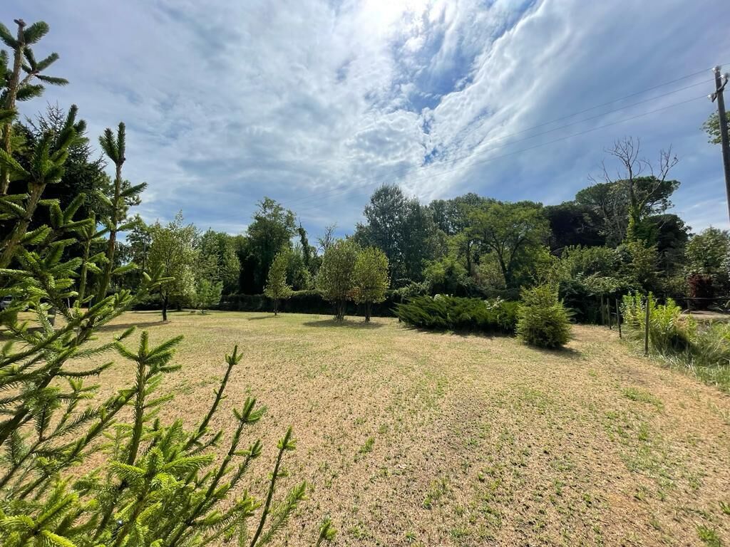 Apartment surrounded by greenery 50 meters from the sea