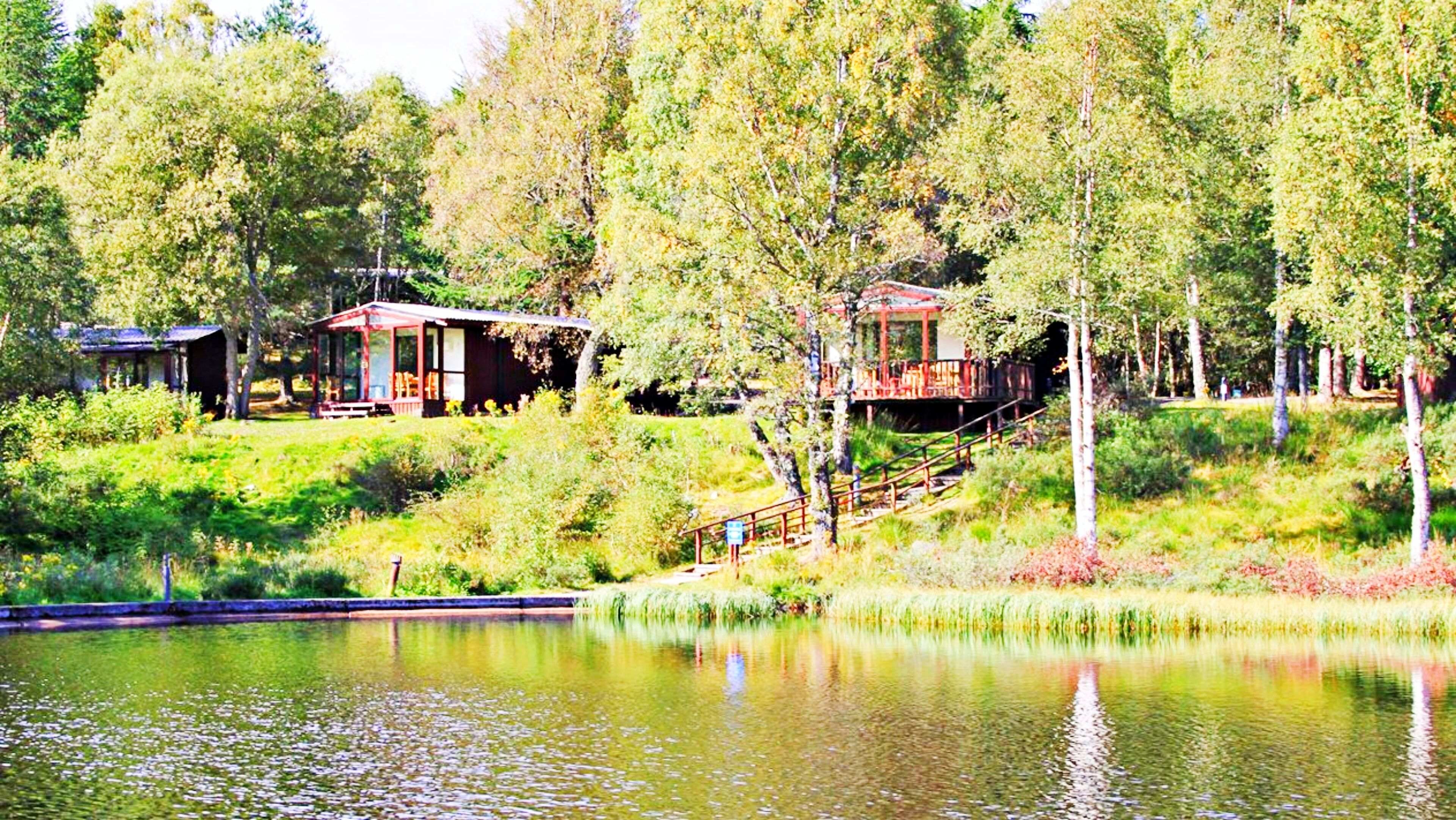 Tranquil Woodland Condo Resort
