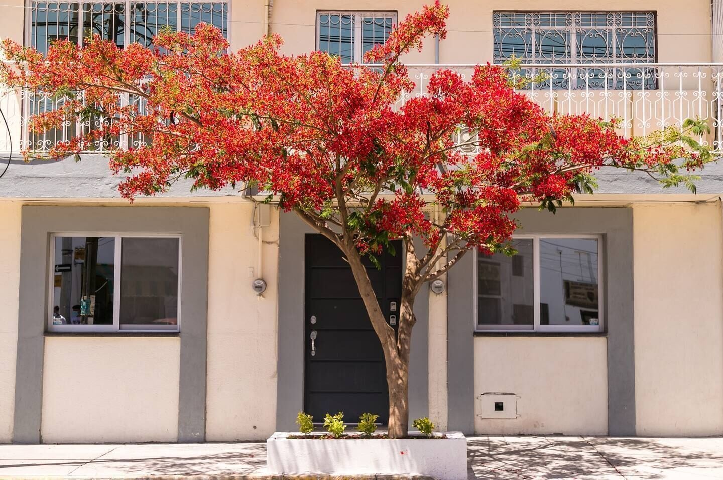 "C" Céntrico Loft Privado - Alegría Housing -