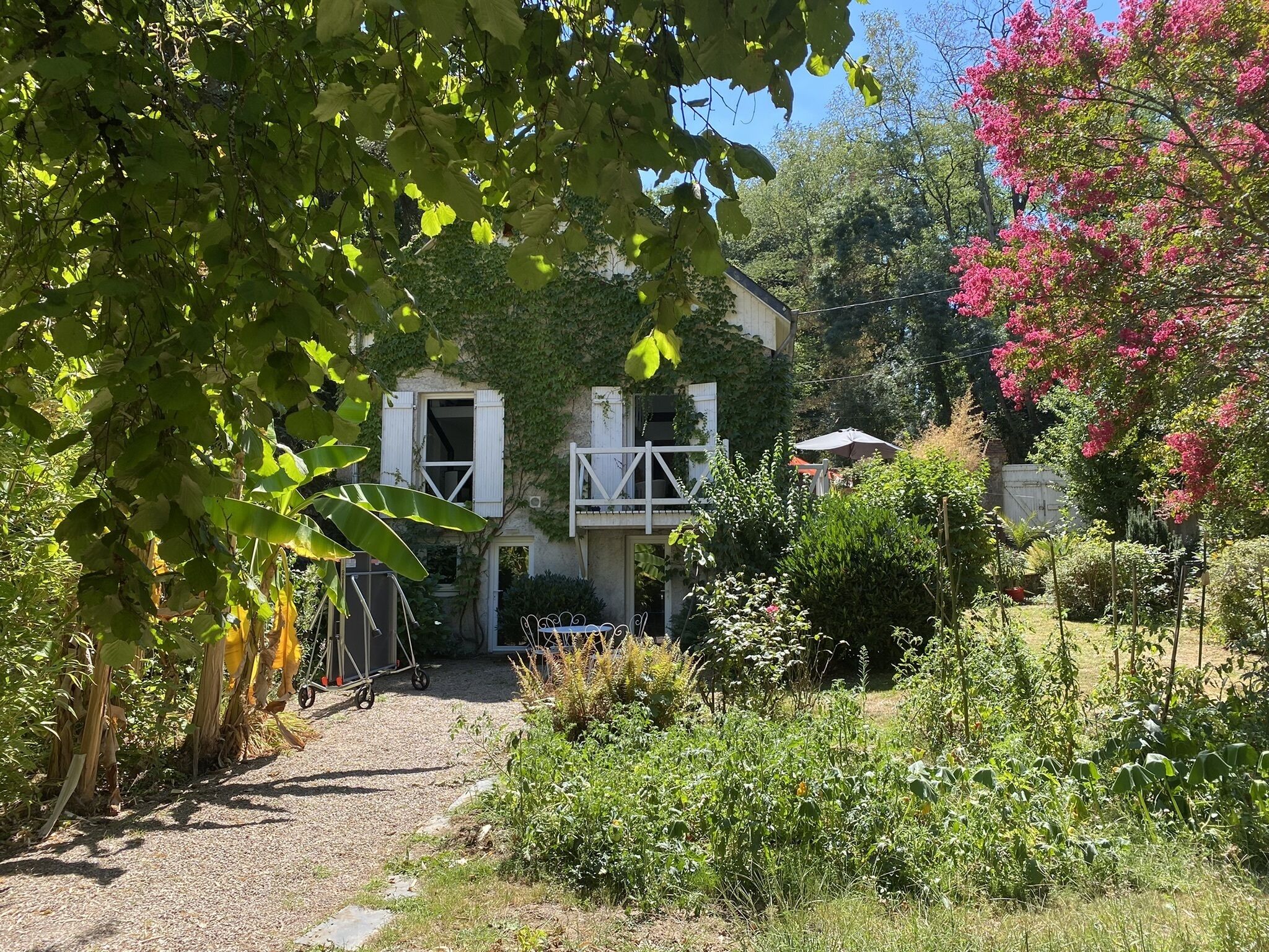 Camélia private room: tree-lined house facing the river