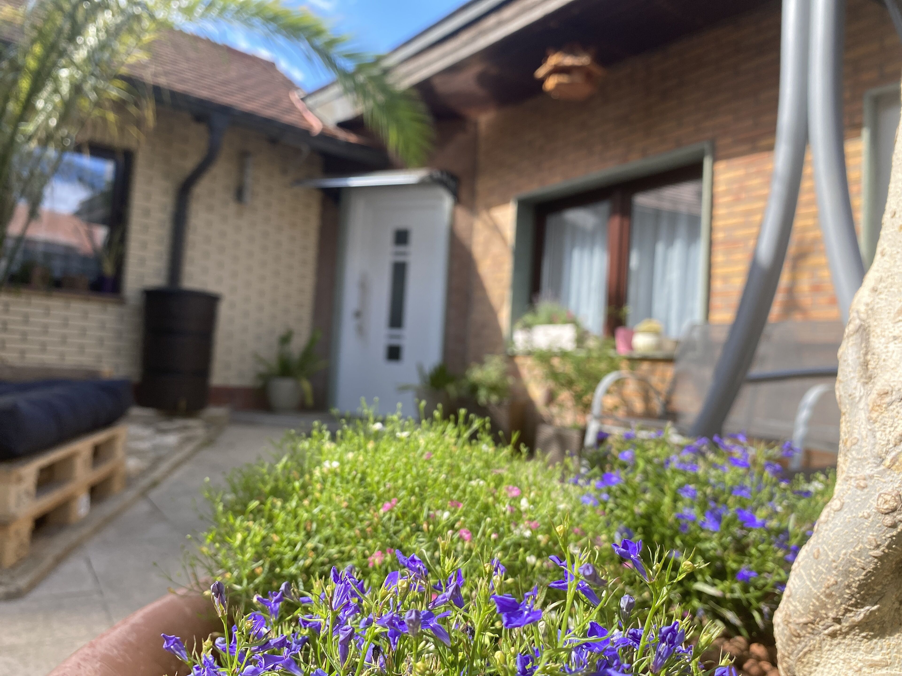 ⭐️⭐️⭐️⭐️Apartment, 2-4 guests, 2 bedrooms, quiet location