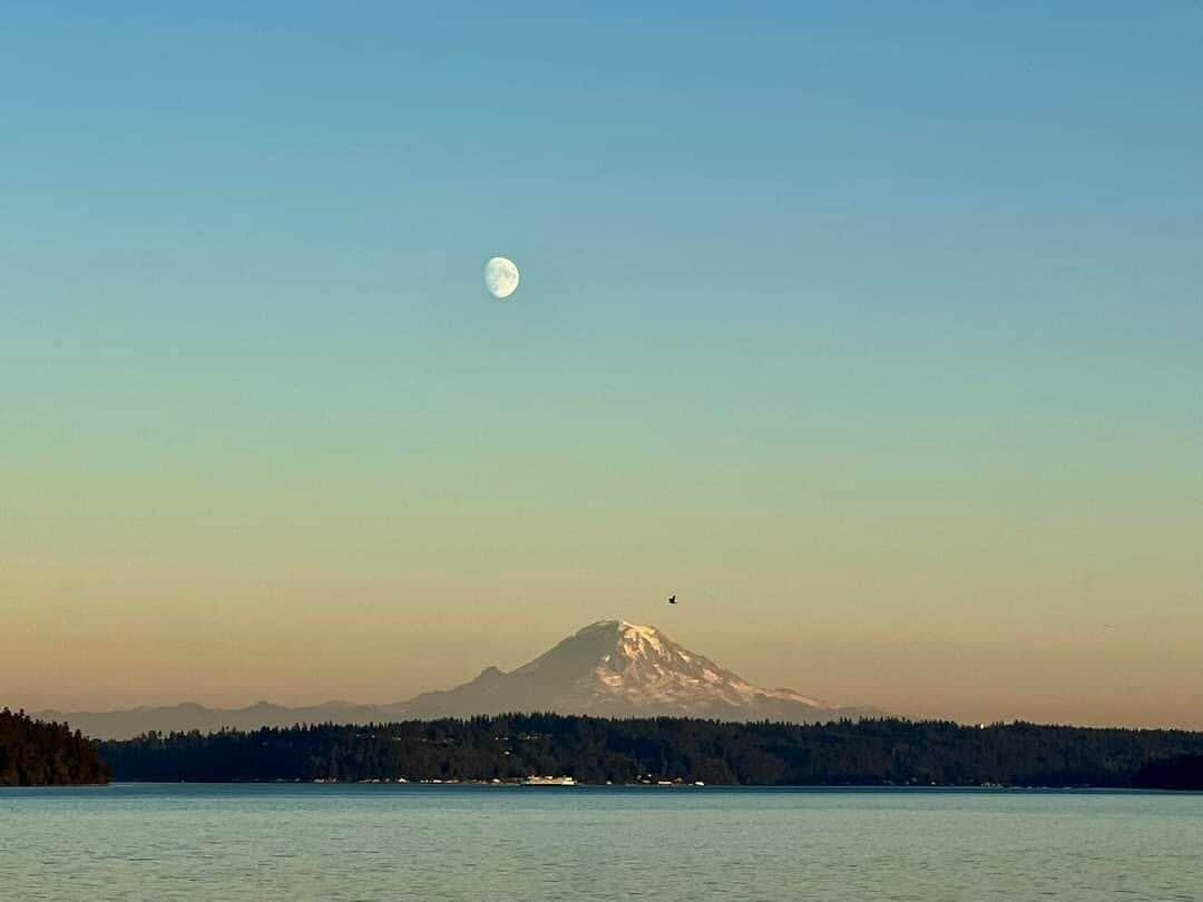 Waterfront 2 bed, 2 baths, 1364 sq ft, views of Mt Rainer, Seattle, and more.