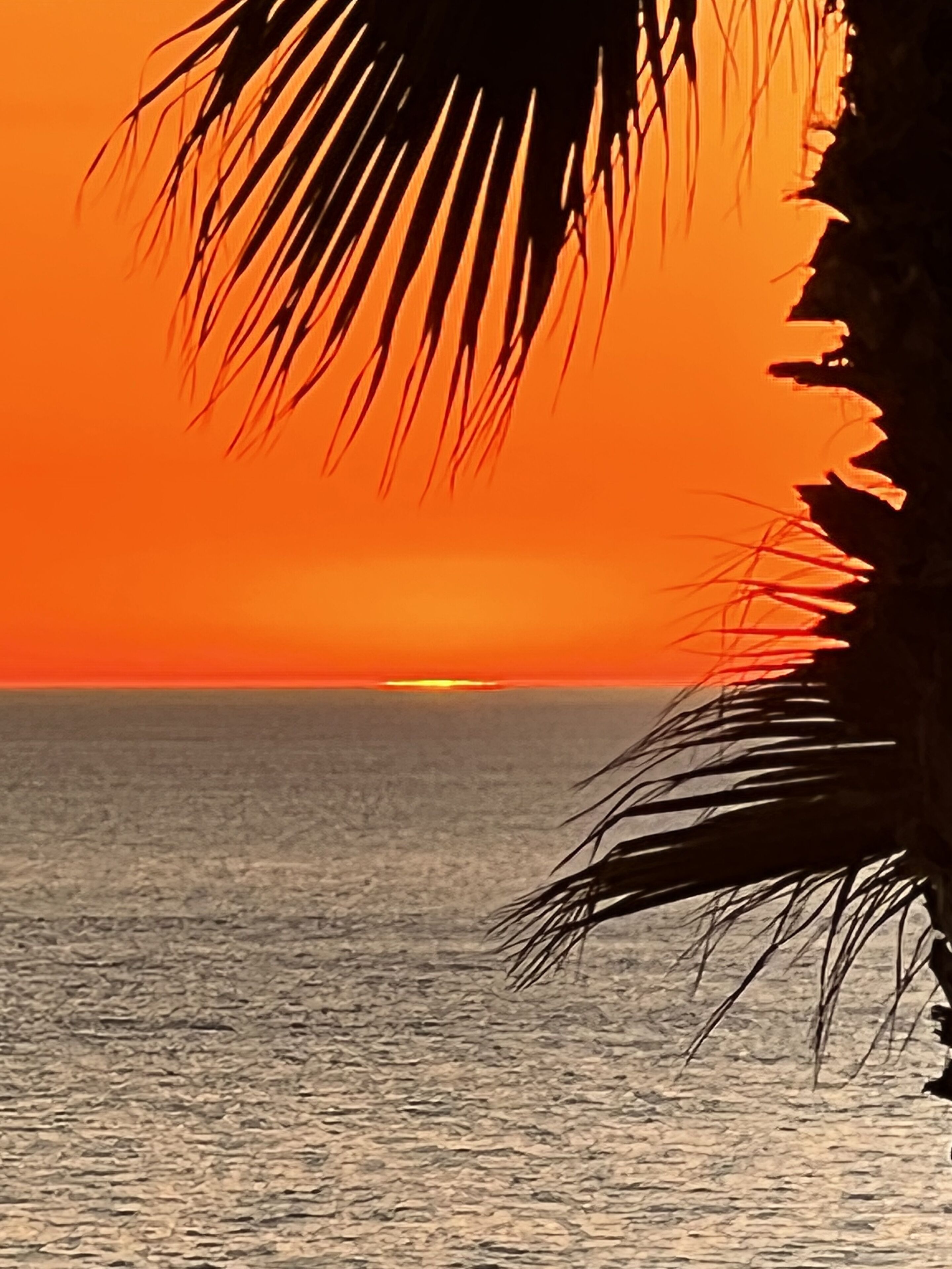 Top Floor Ocean Front Remodeled Condo