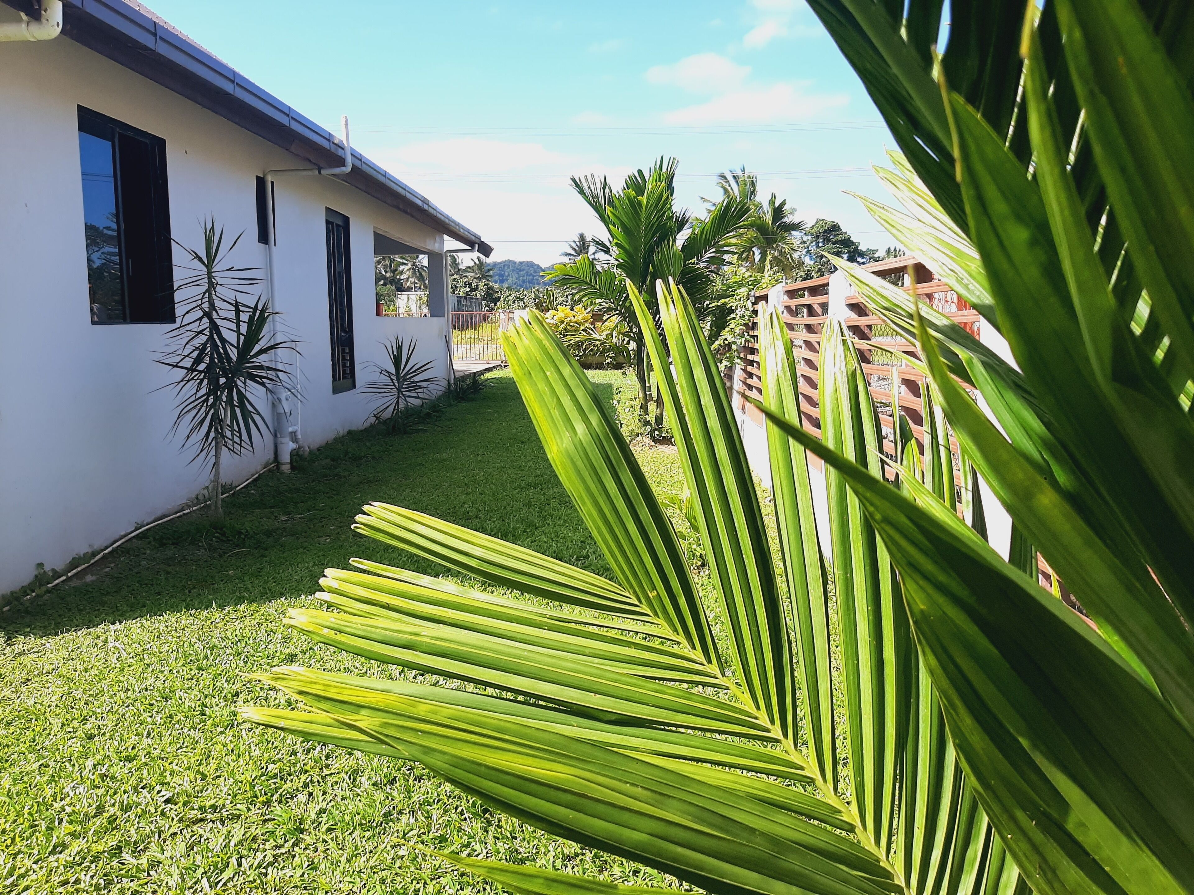 Cosy Nature's Best sites for shark diving, Waterfalls, village tours.