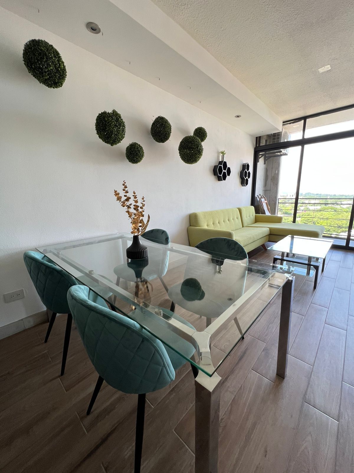 Luxury Apartment with amazing view (Pet-Friendly!)