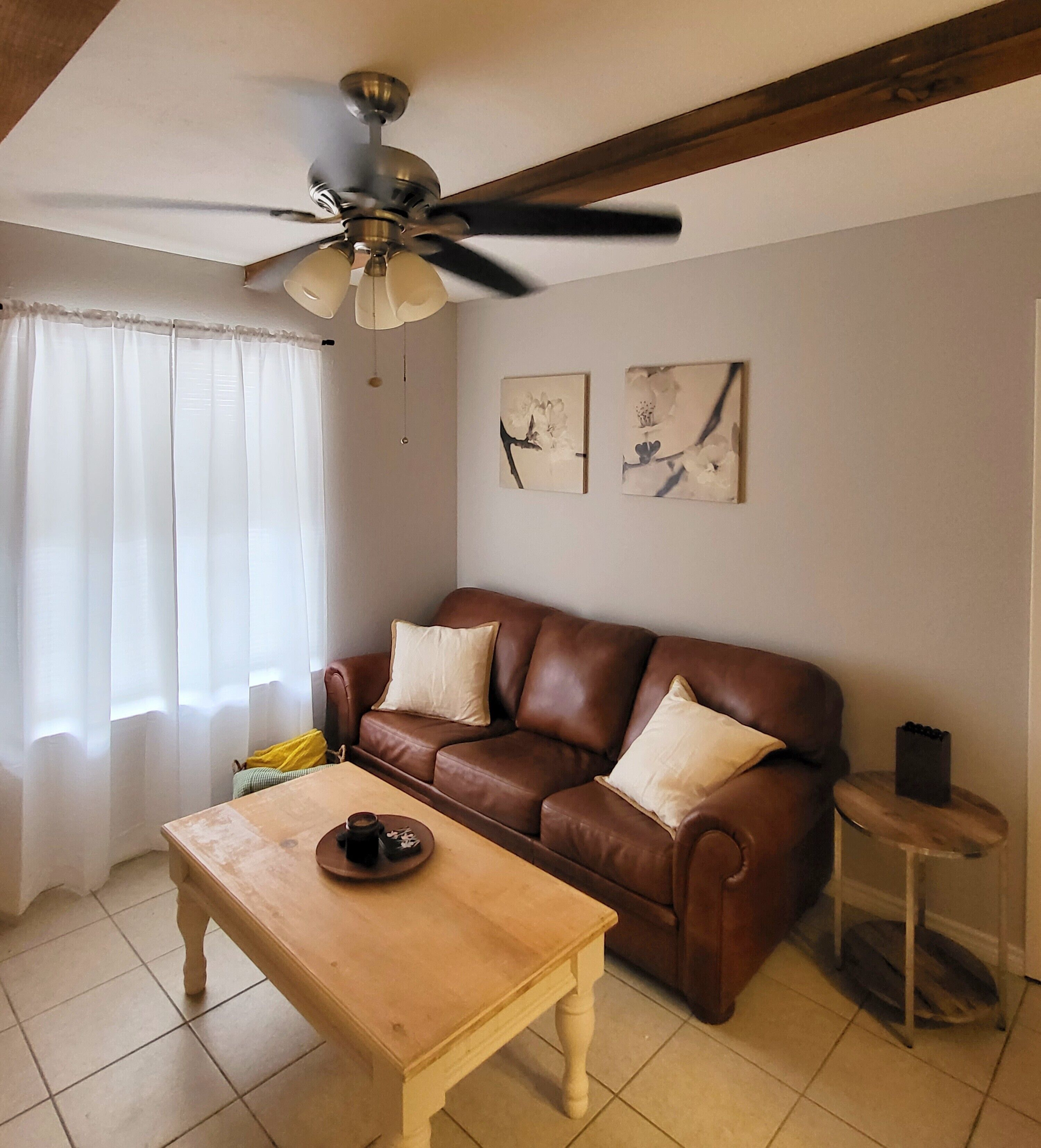 Feb Special! 101/night
