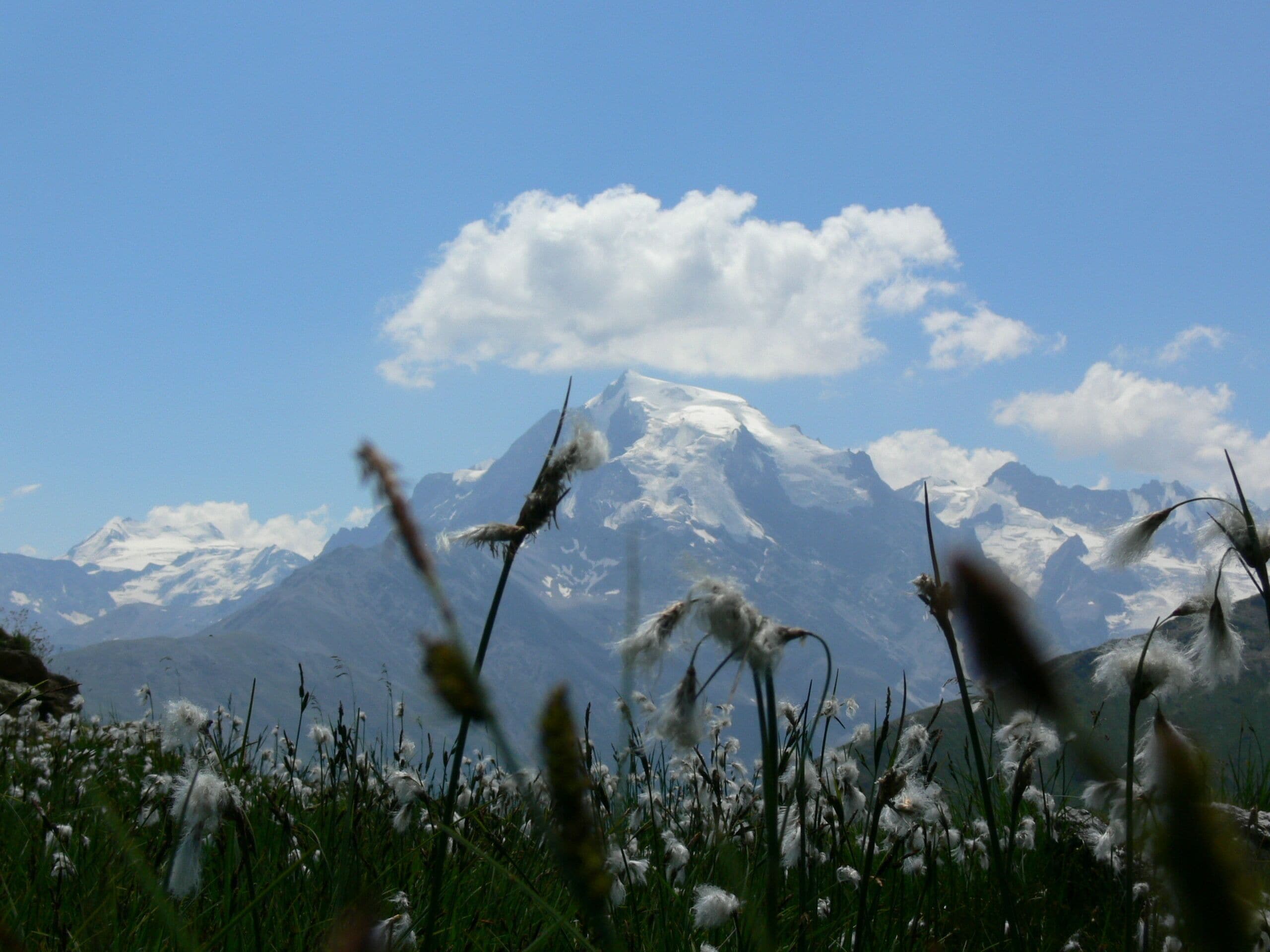 Family-friendly holiday apartment Ortler