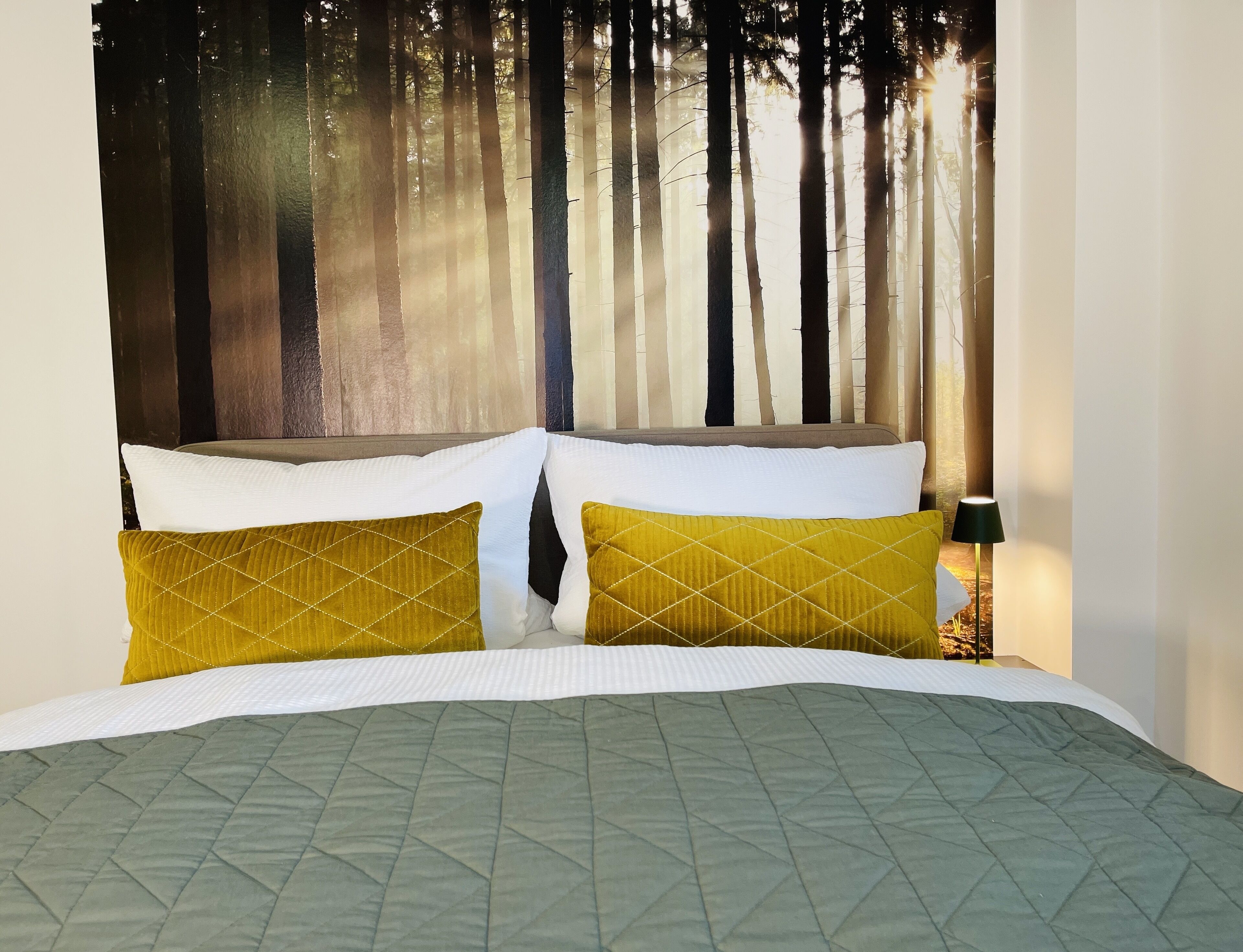 Stay central Black Forest apartment for 1-2 people. 5 min. walk to the center