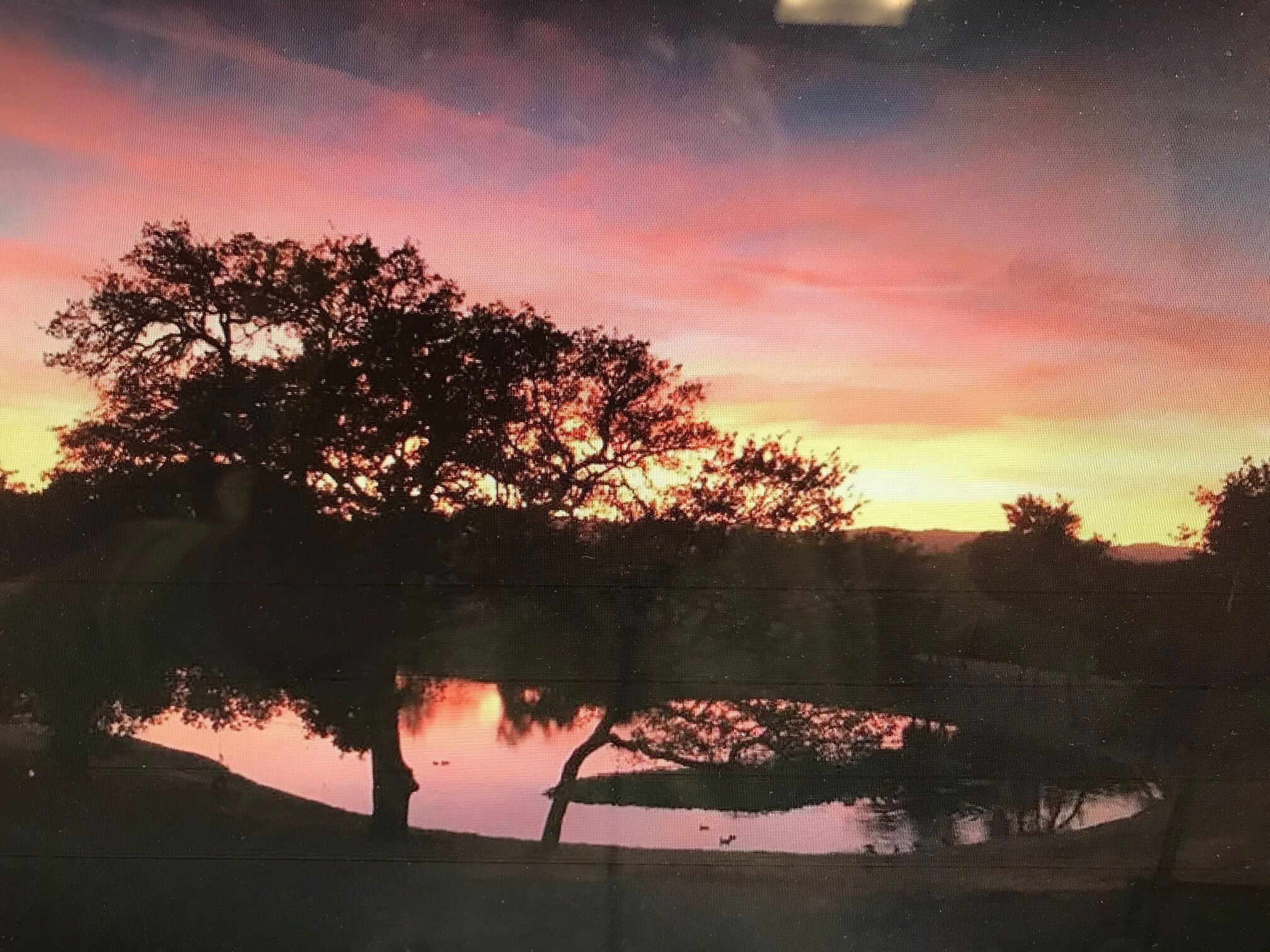 Casa of the Golden Sunsets Romantic, Hidden Gem, in the middle of Wine Country !