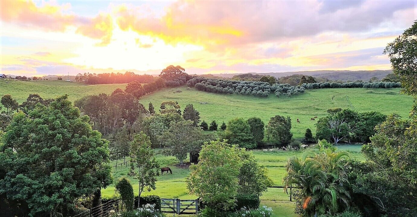Romantic getaway cottage with beautiful sunset views near mulitple hiking trails