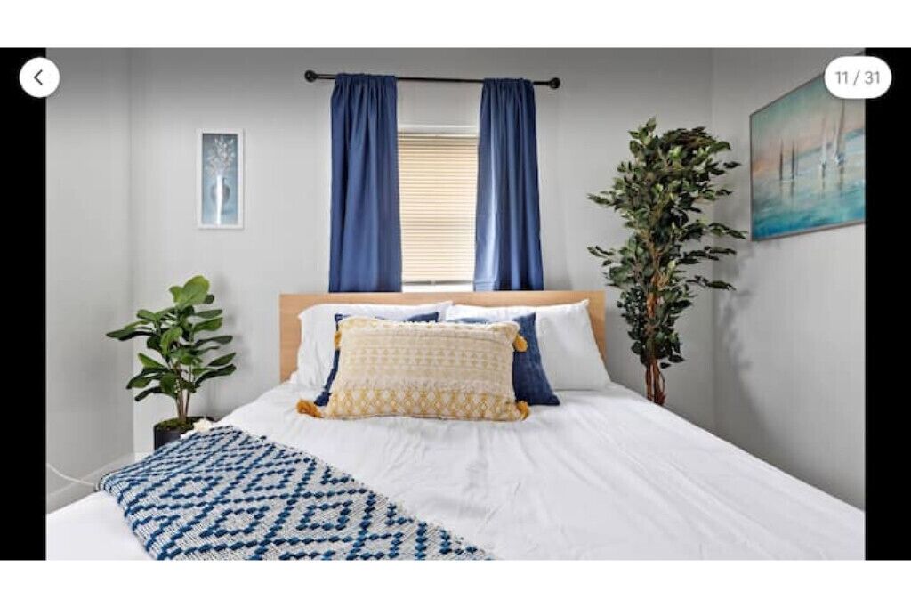 Discover S. Florida cozy studio