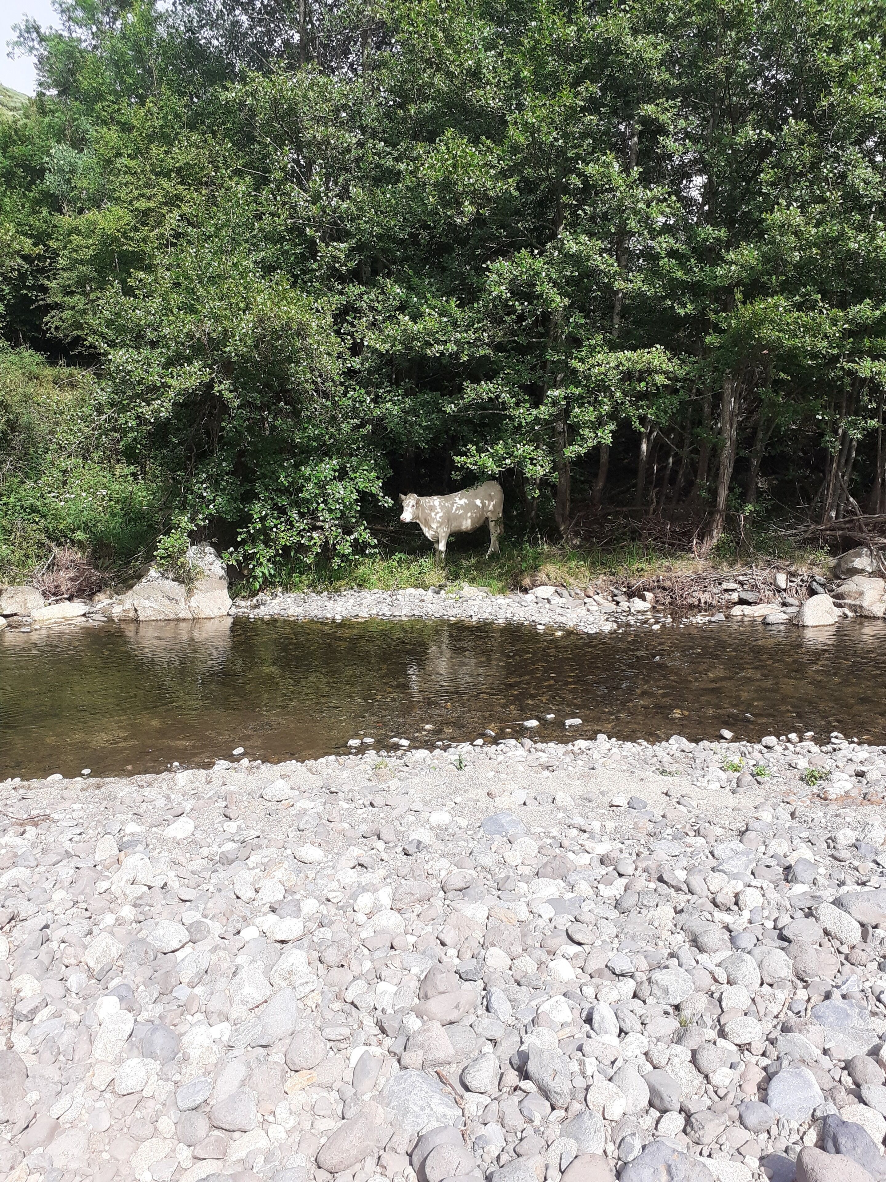 140 m² by the river, 20 minutes from Puy en Velay and the Ardéchois plateau
