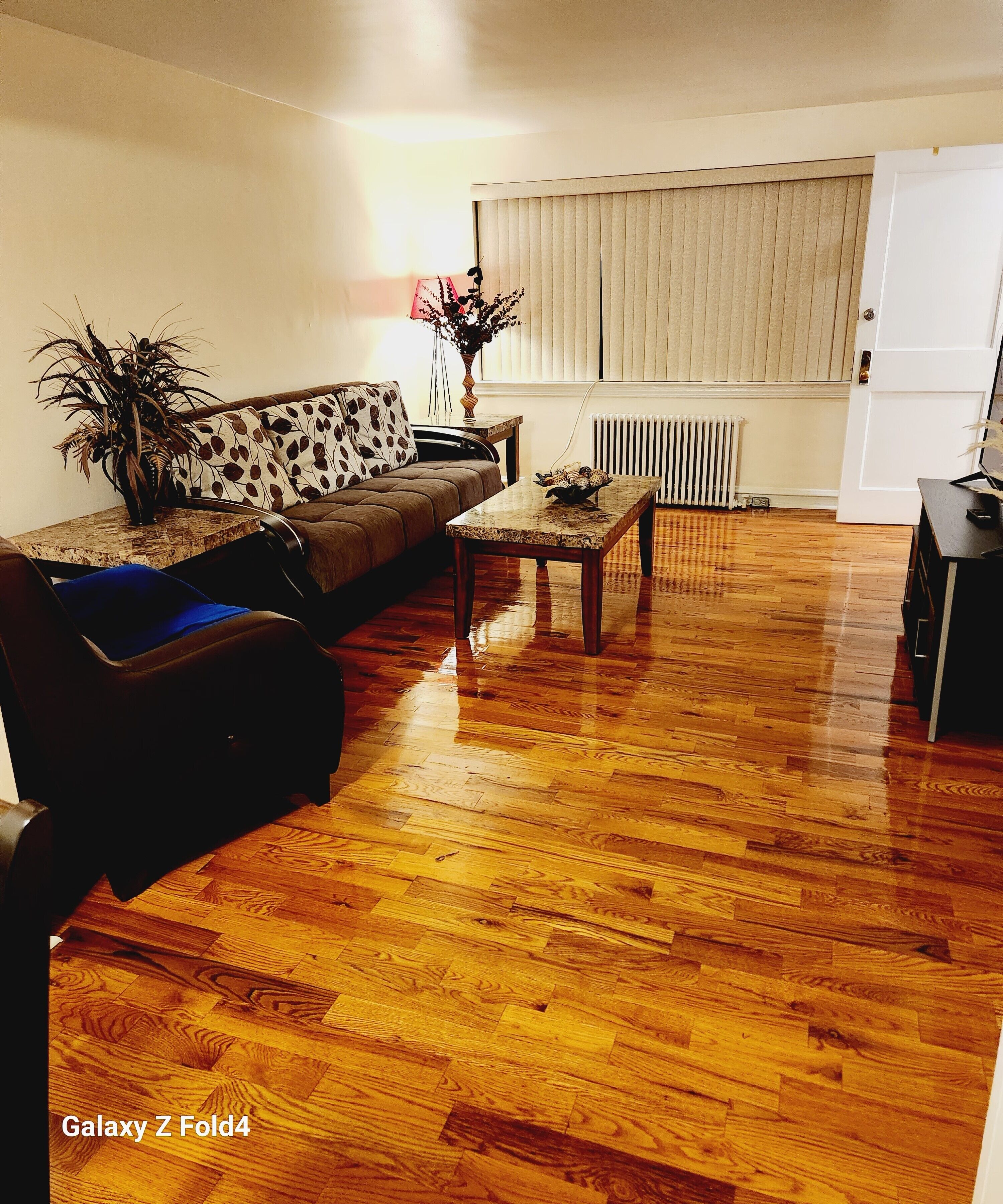 Cozy 1 bedroom  Apartment