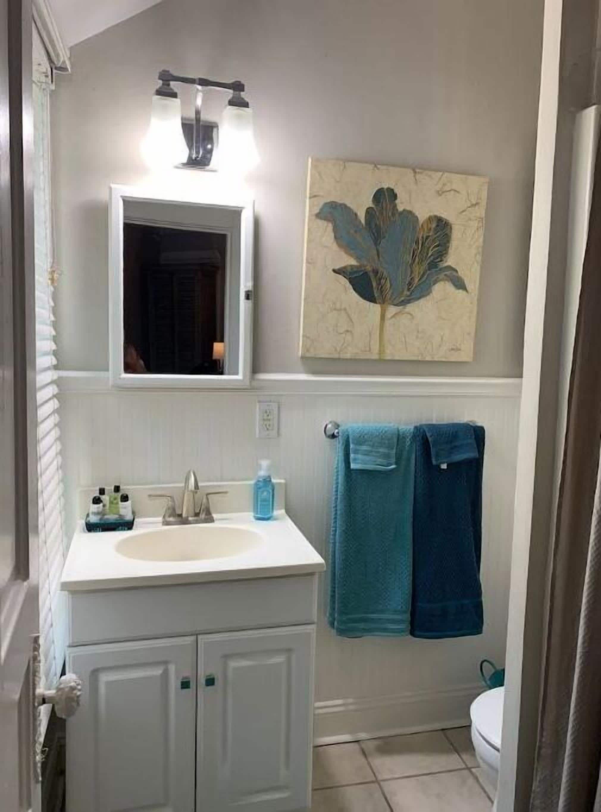 Private Apt within Historic Downtown Home