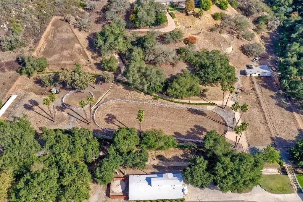 Pet Friendly Apt A. North of San Diego